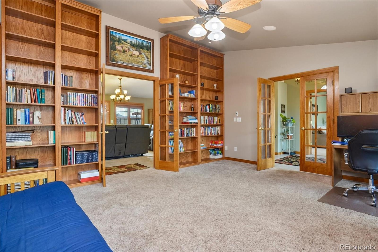 MLS Image #13 for 30695  county road 361 ,buena vista, Colorado