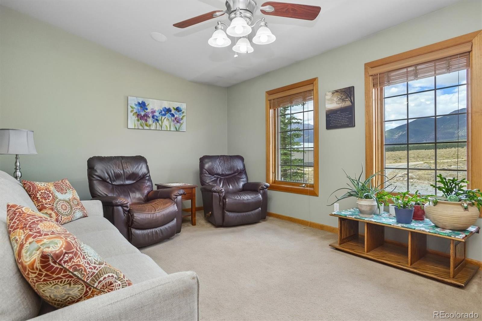 MLS Image #15 for 30695  county road 361 ,buena vista, Colorado