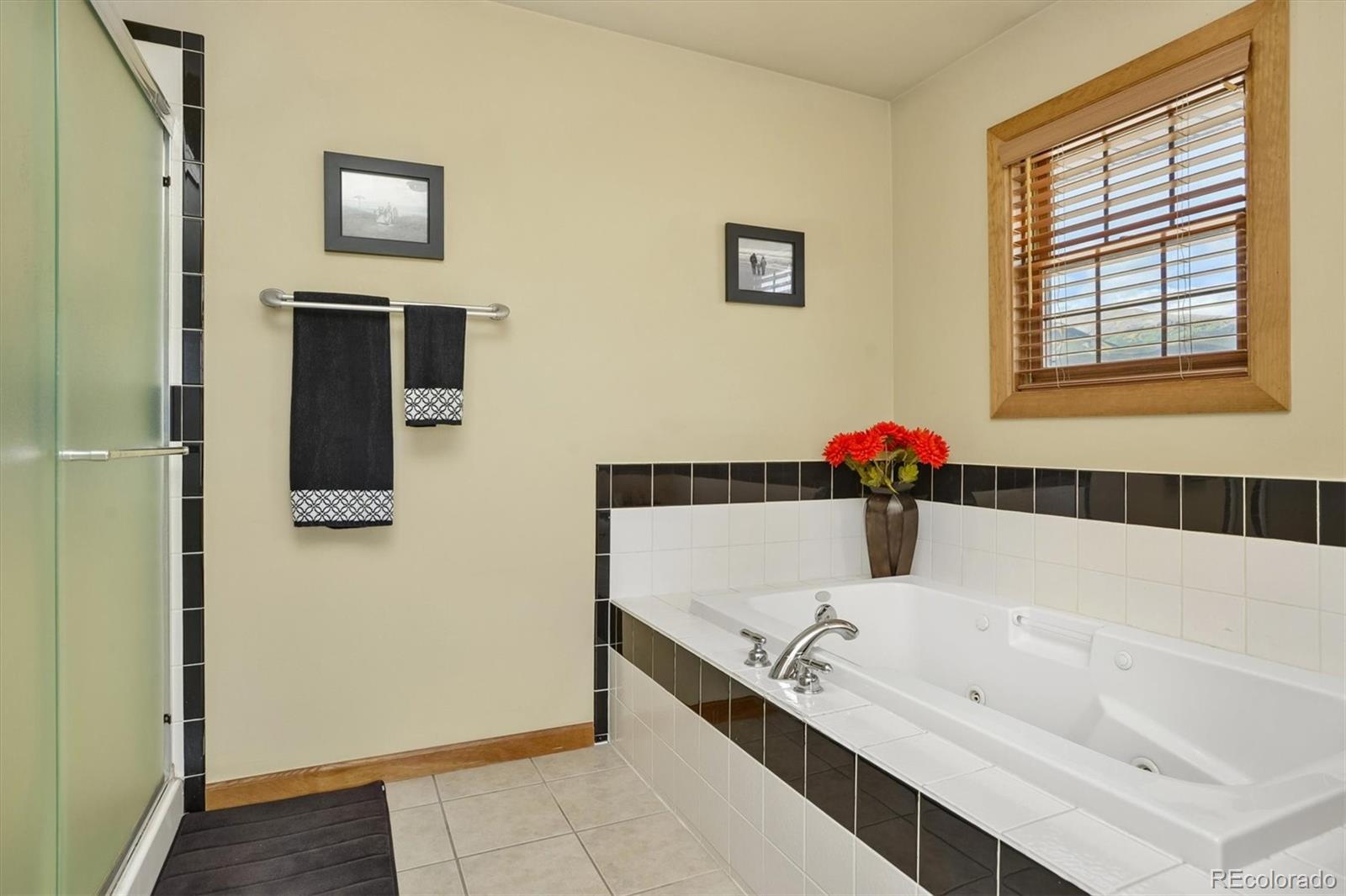 MLS Image #28 for 30695  county road 361 ,buena vista, Colorado
