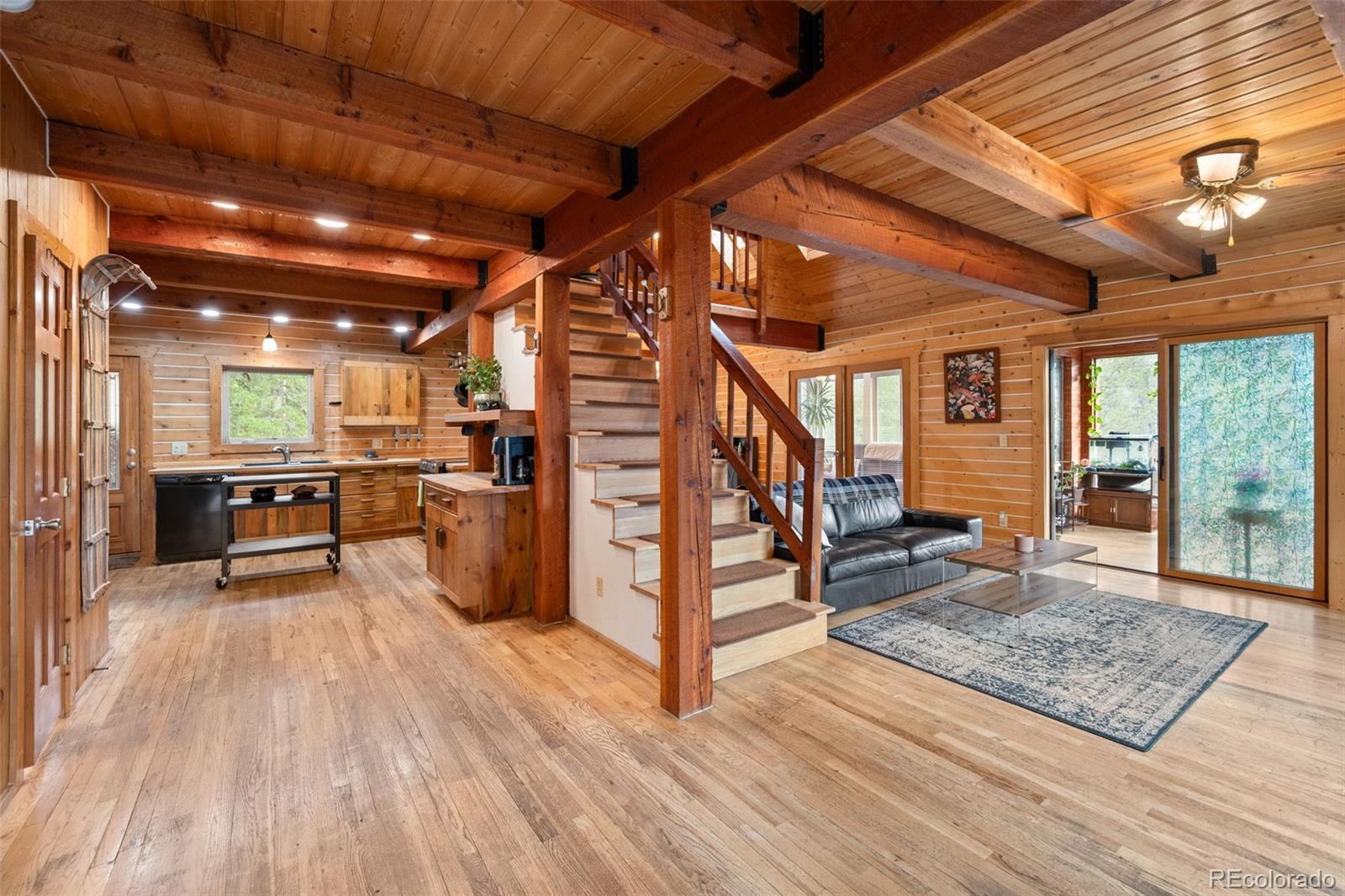 MLS Image #11 for 54  old little bear creek road,idaho springs, Colorado