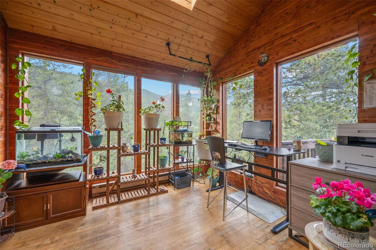 MLS Image #15 for 54  old little bear creek road,idaho springs, Colorado