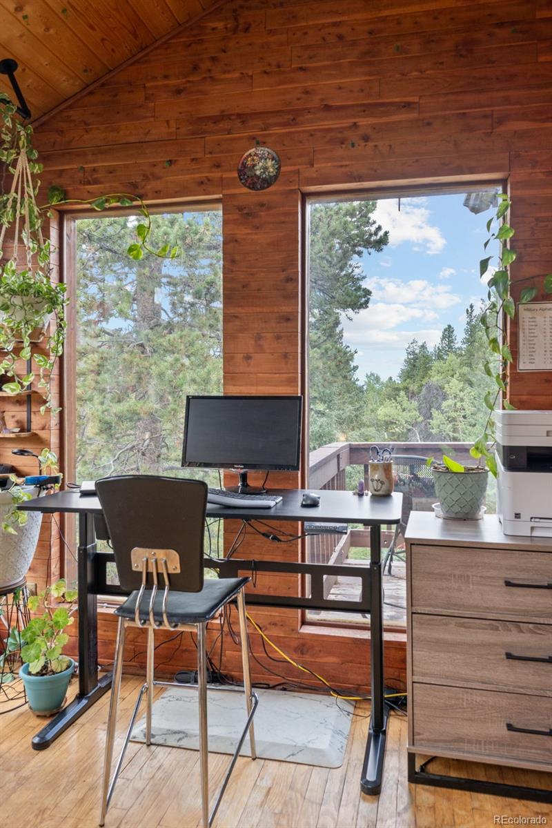 MLS Image #16 for 54  old little bear creek road,idaho springs, Colorado