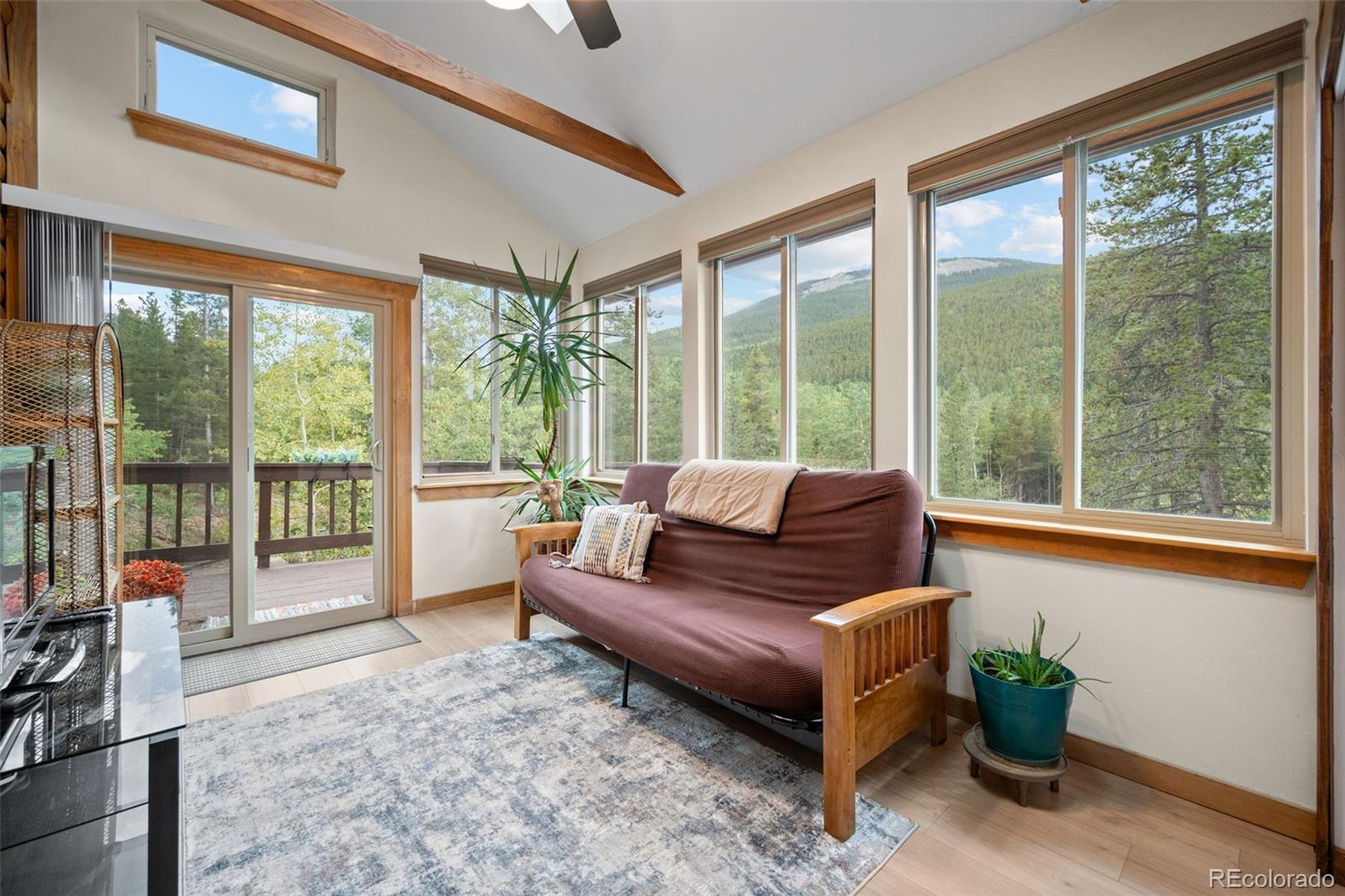 MLS Image #17 for 54  old little bear creek road,idaho springs, Colorado