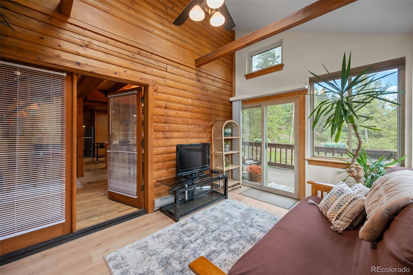 MLS Image #18 for 54  old little bear creek road,idaho springs, Colorado