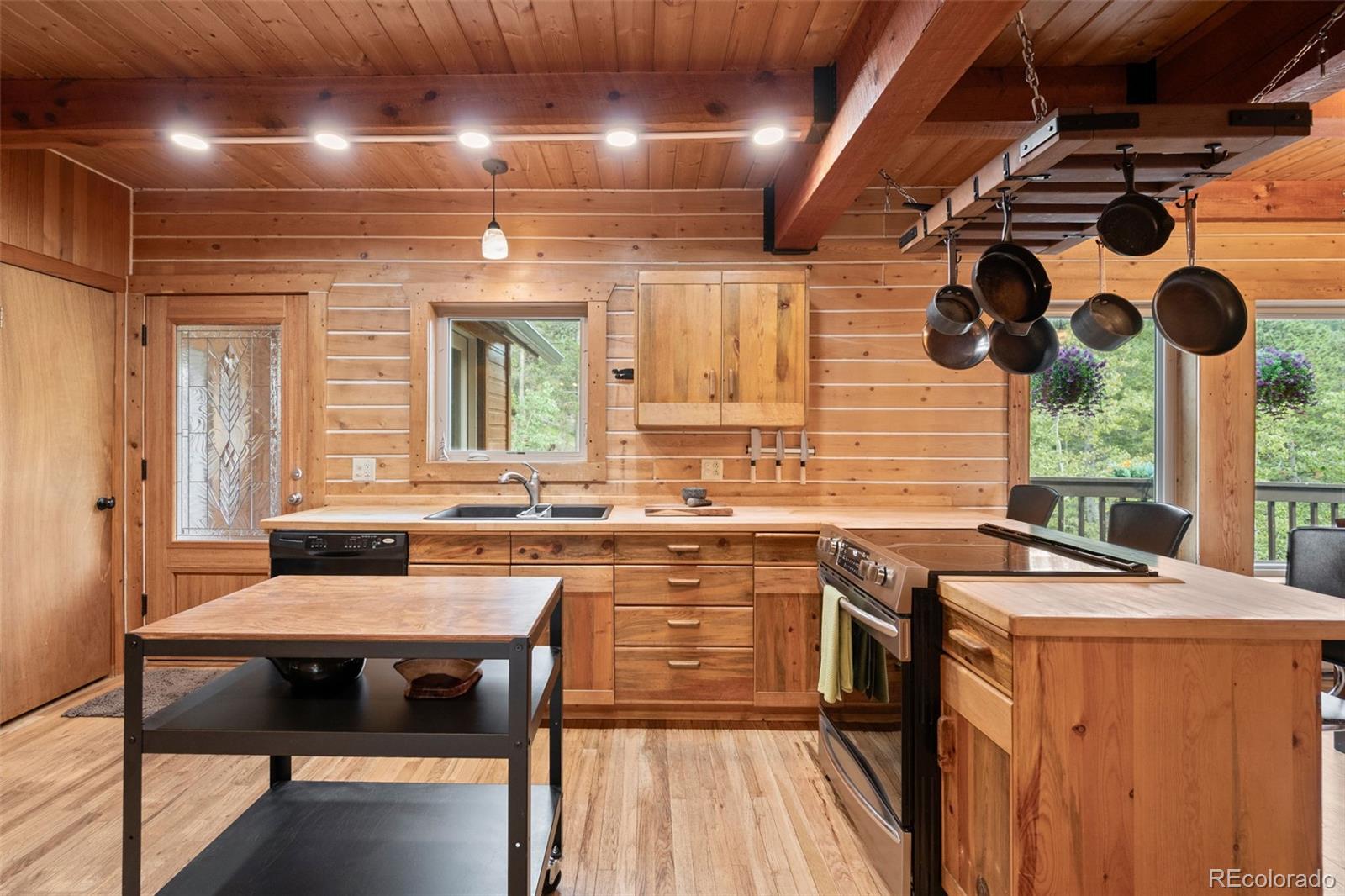 MLS Image #5 for 54  old little bear creek road,idaho springs, Colorado