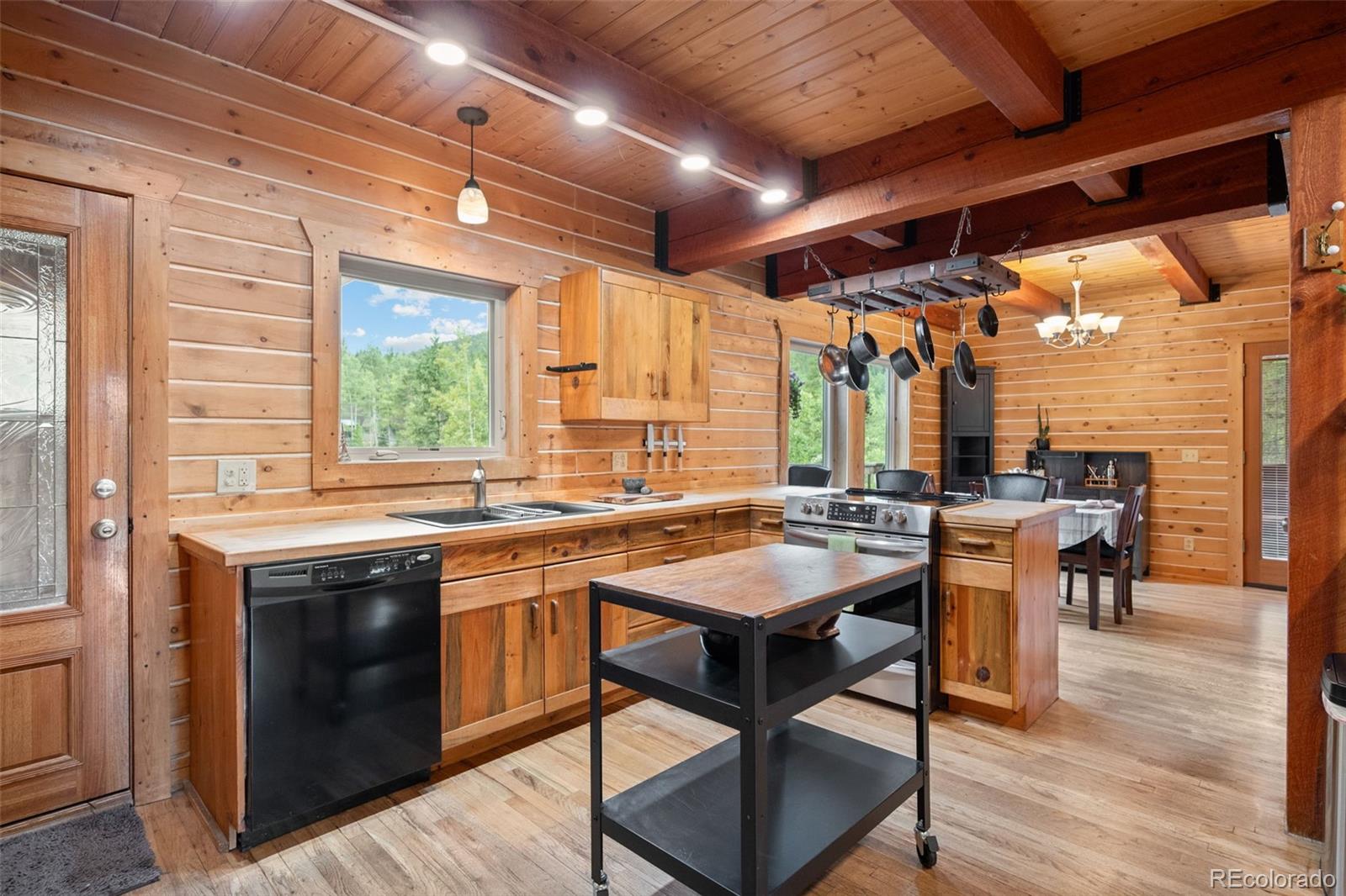 MLS Image #6 for 54  old little bear creek road,idaho springs, Colorado