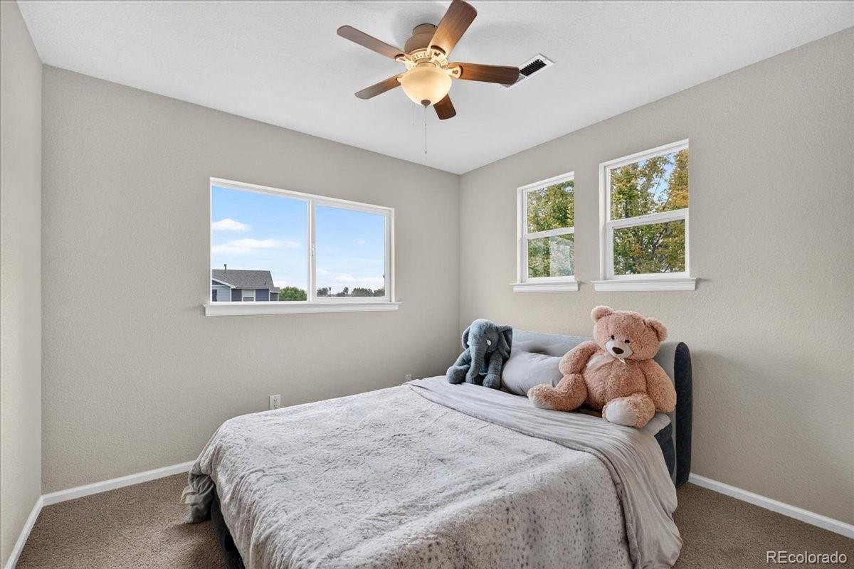 MLS Image #18 for 800  willow drive,lochbuie, Colorado
