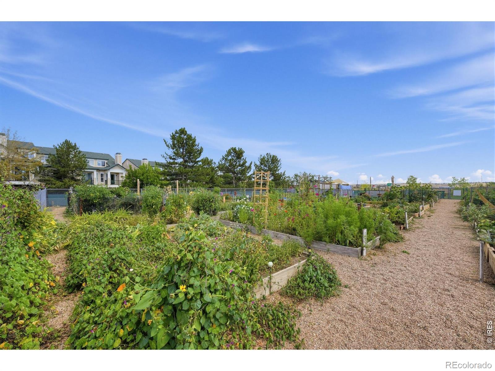 MLS Image #28 for 2086  concord lane,louisville, Colorado