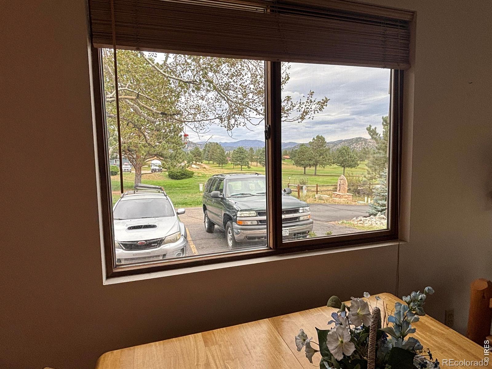 MLS Image #6 for 1010 s saint vrain avenue,estes park, Colorado