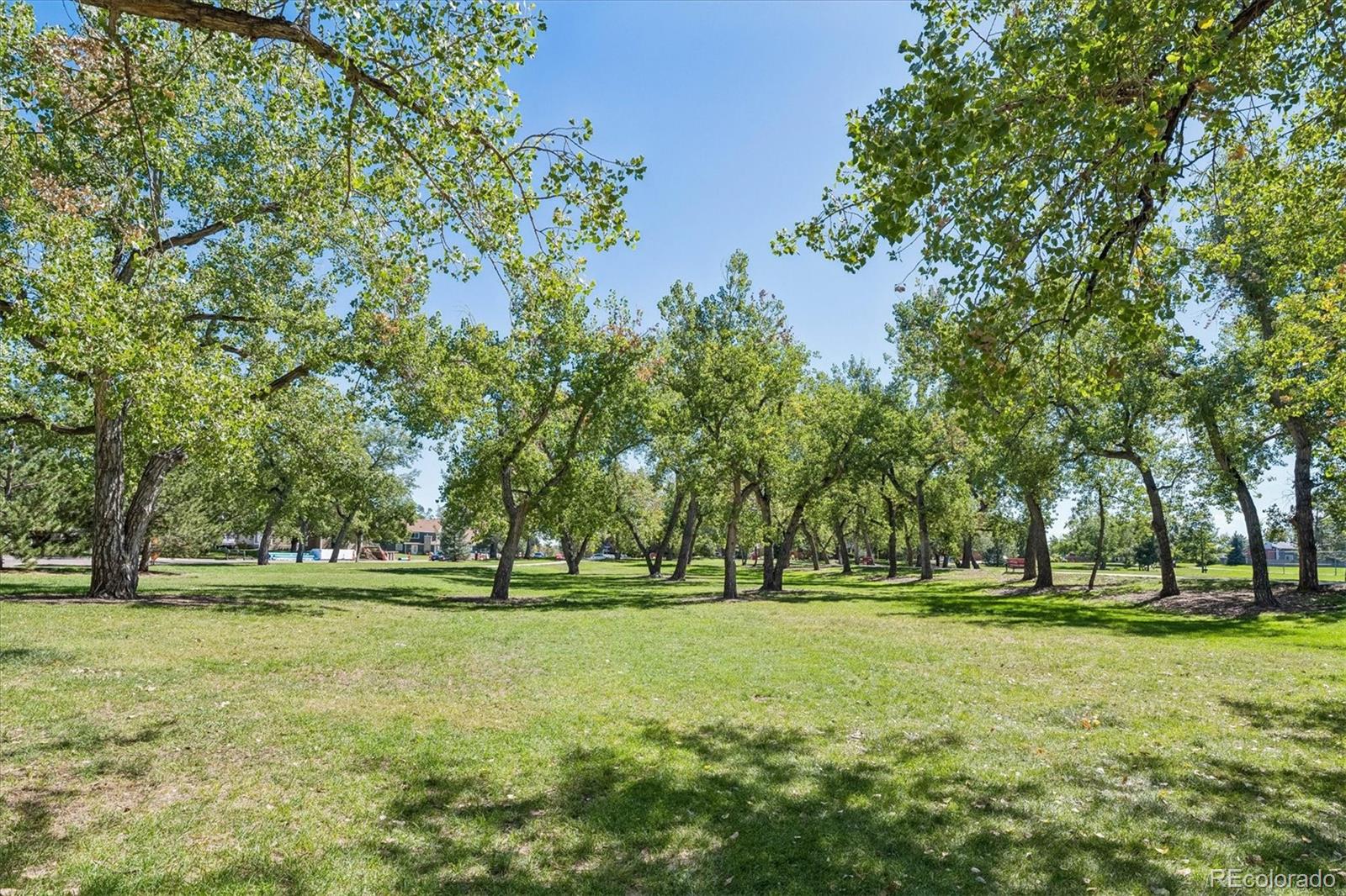 MLS Image #30 for 8425  everett way c,arvada, Colorado