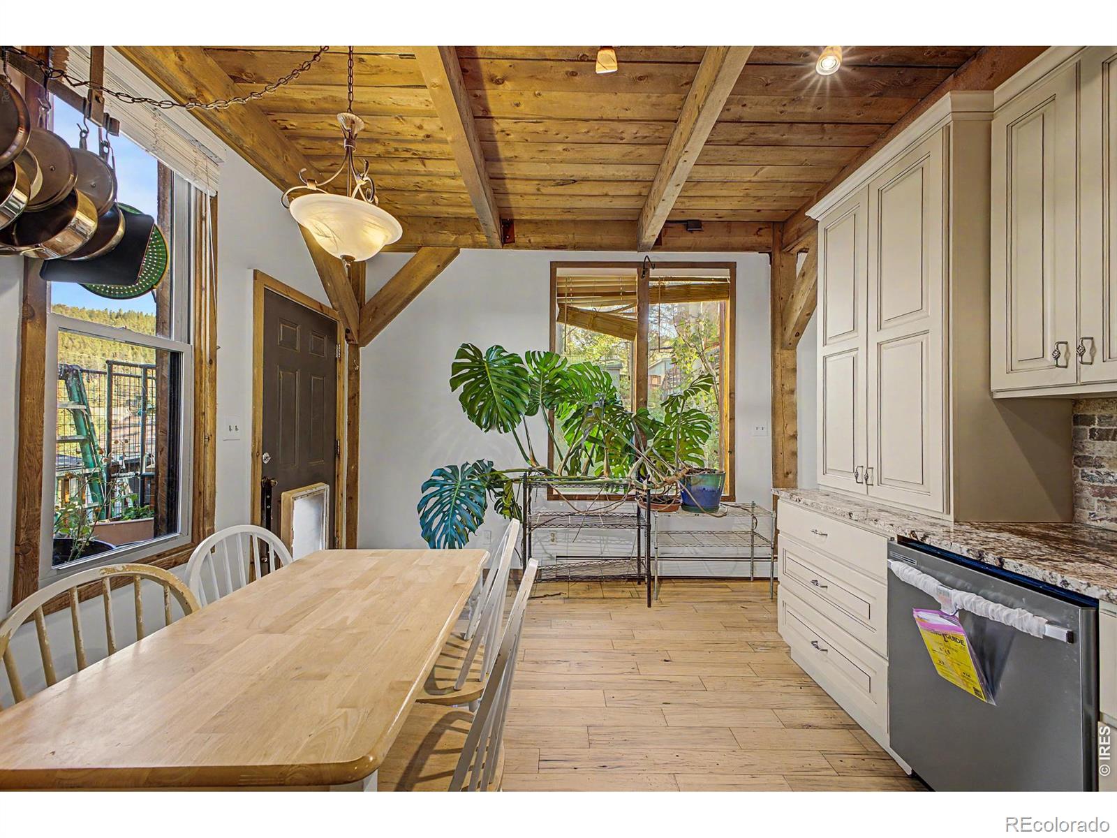MLS Image #13 for 131 s jackson street,nederland, Colorado