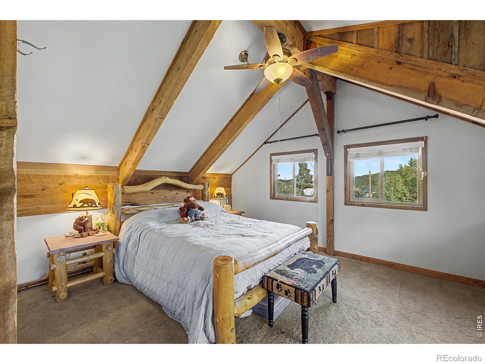MLS Image #17 for 131 s jackson street,nederland, Colorado