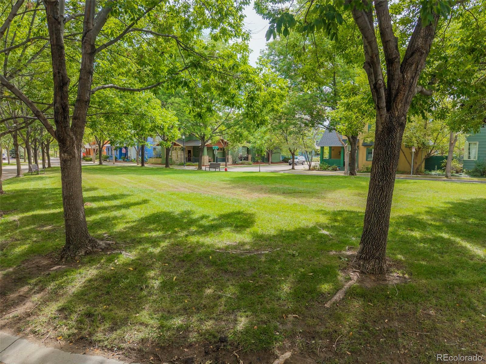 MLS Image #3 for 821  incorrigible circle,longmont, Colorado
