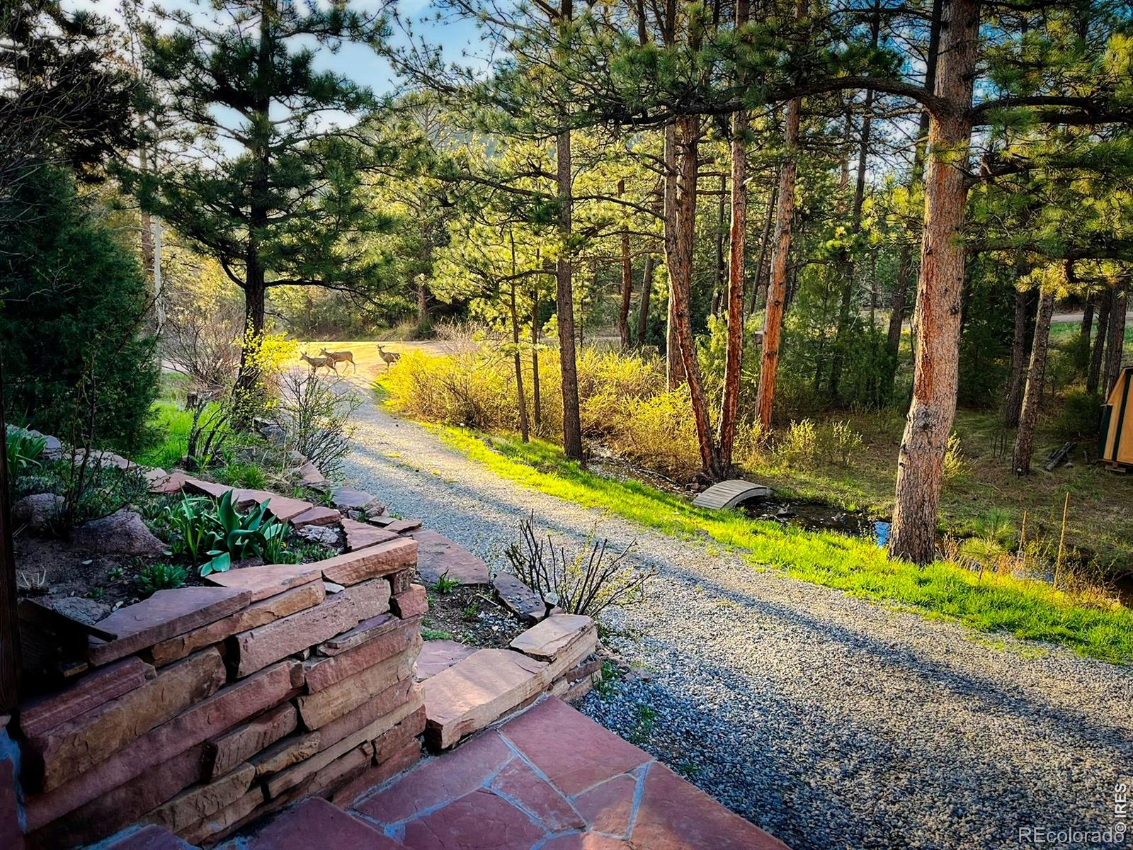 MLS Image #20 for 5  mohawk road,lyons, Colorado