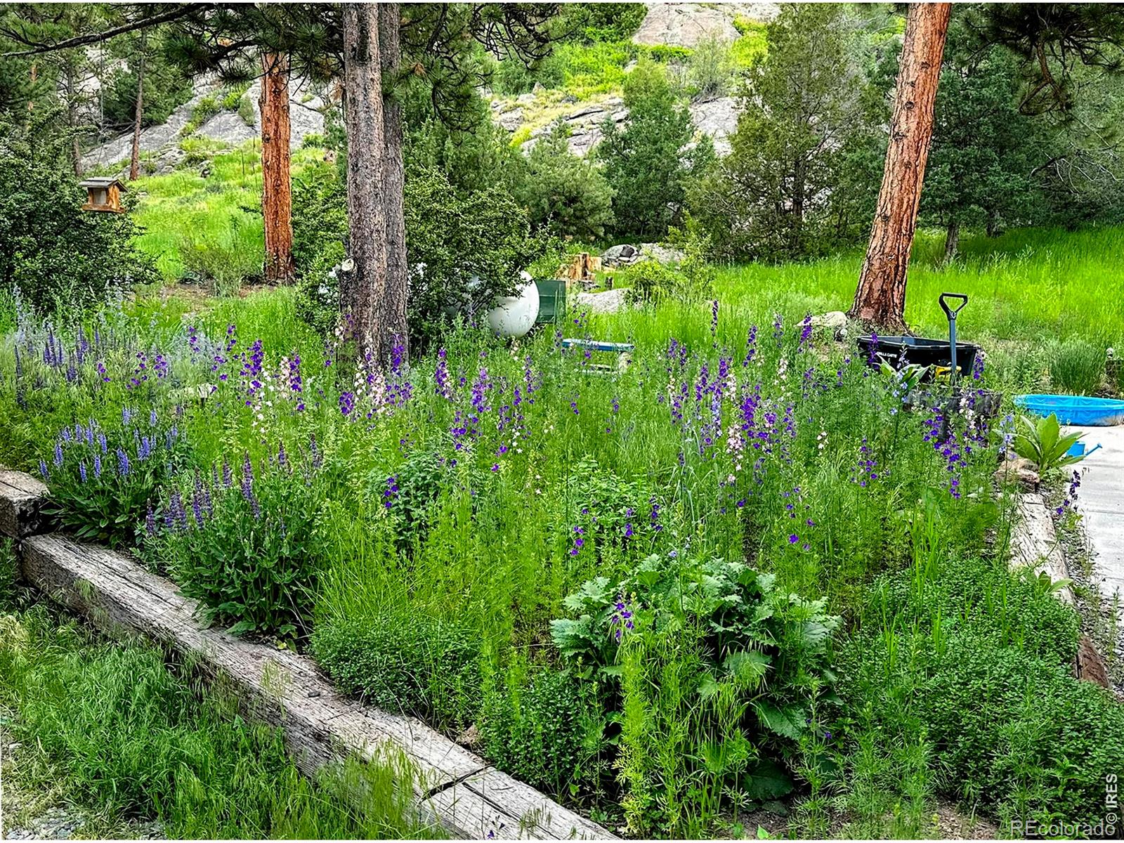 MLS Image #22 for 5  mohawk road,lyons, Colorado