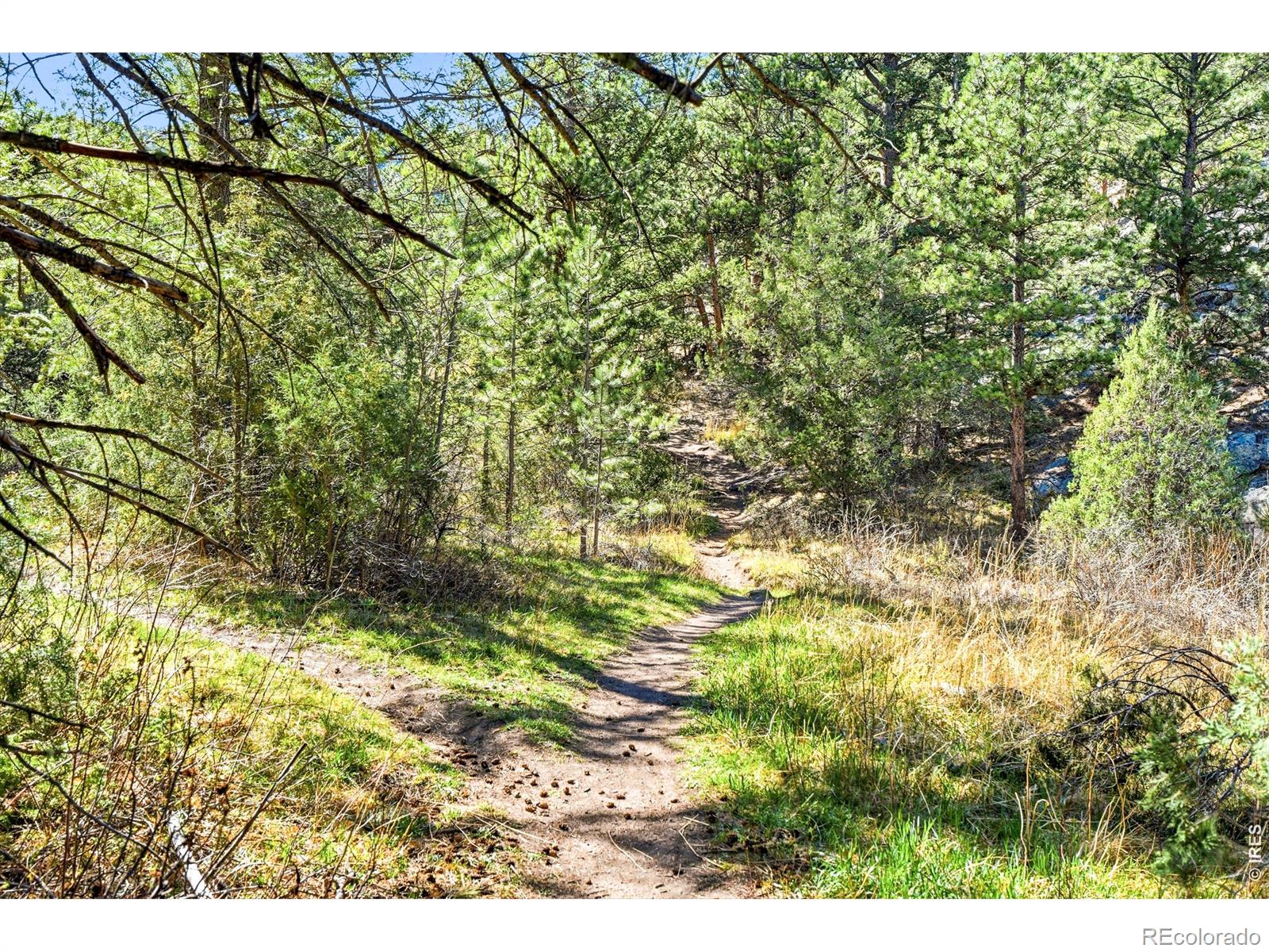 MLS Image #4 for 5  mohawk road,lyons, Colorado