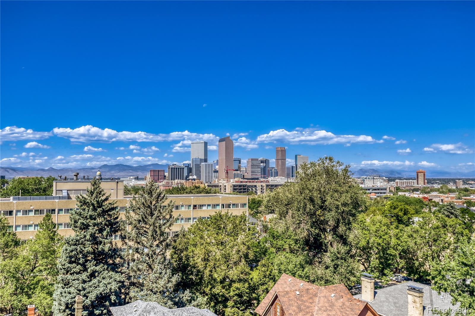 MLS Image #24 for 1313 n williams street,denver, Colorado