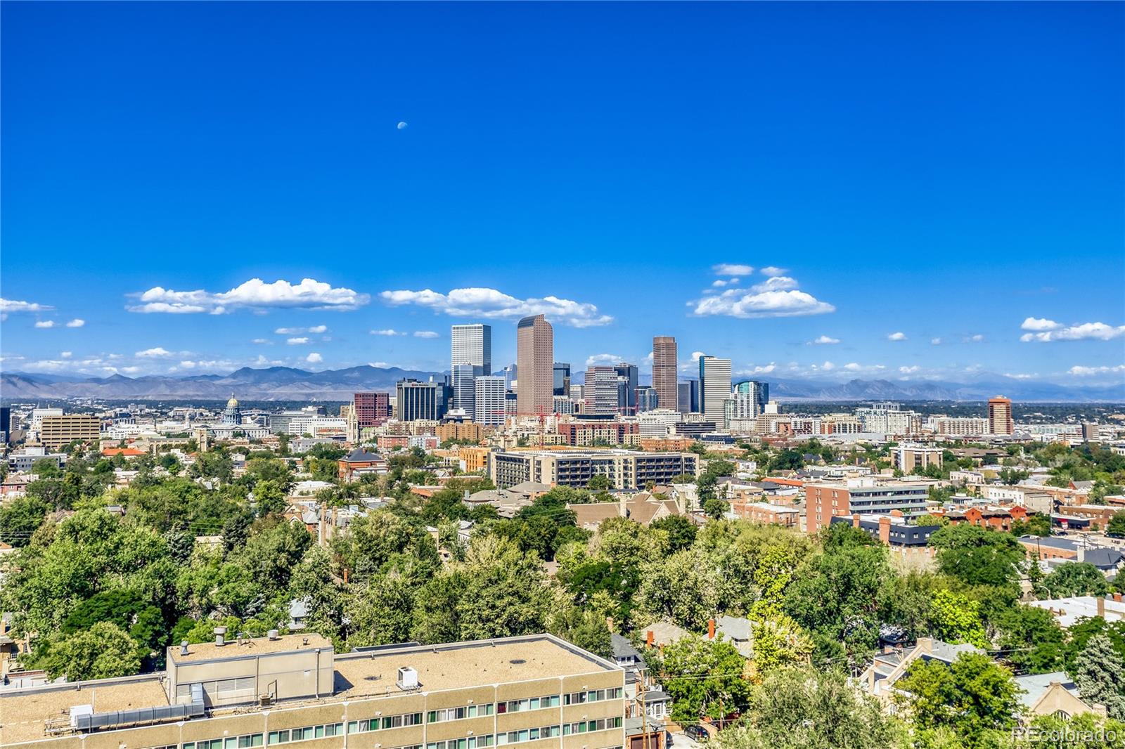 MLS Image #29 for 1313 n williams street,denver, Colorado