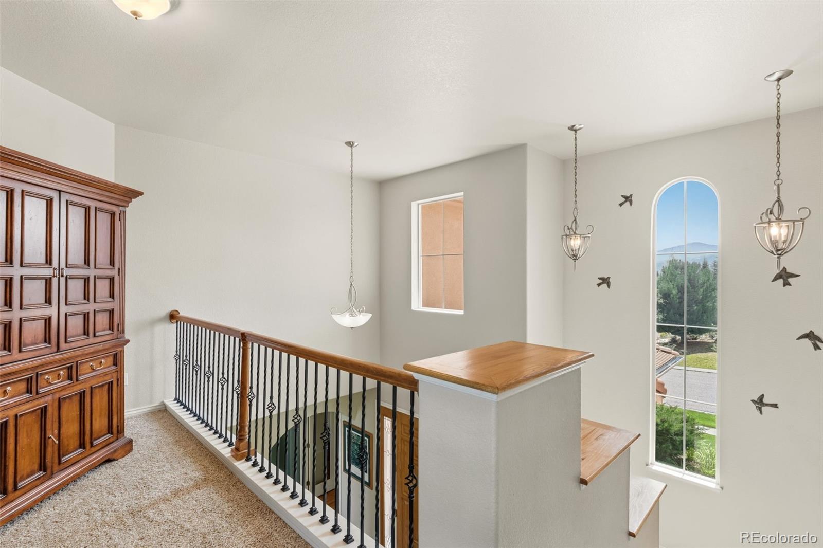 MLS Image #17 for 2114  diamond creek drive,colorado springs, Colorado
