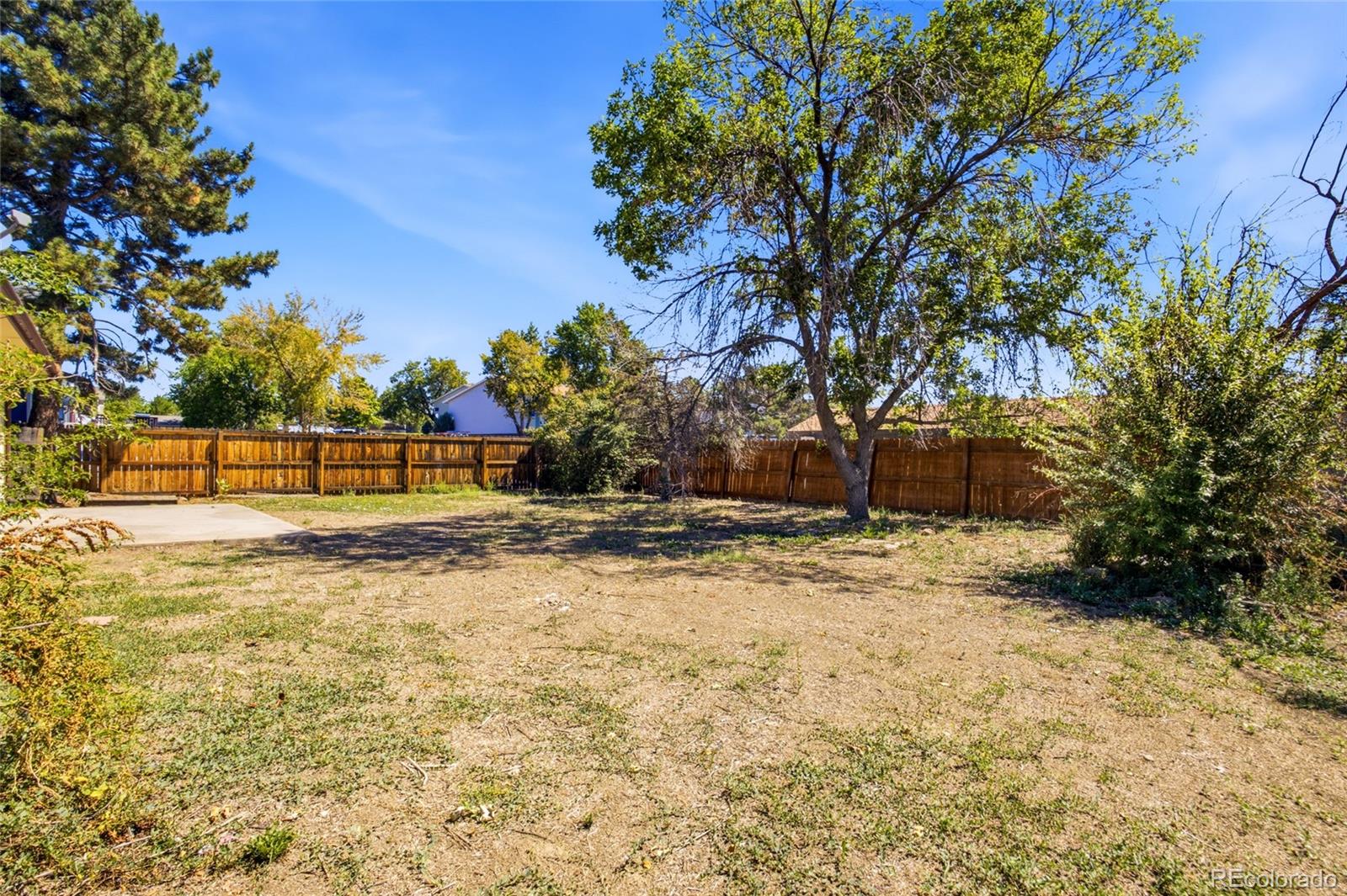 MLS Image #15 for 8130  explorador calle ,denver, Colorado