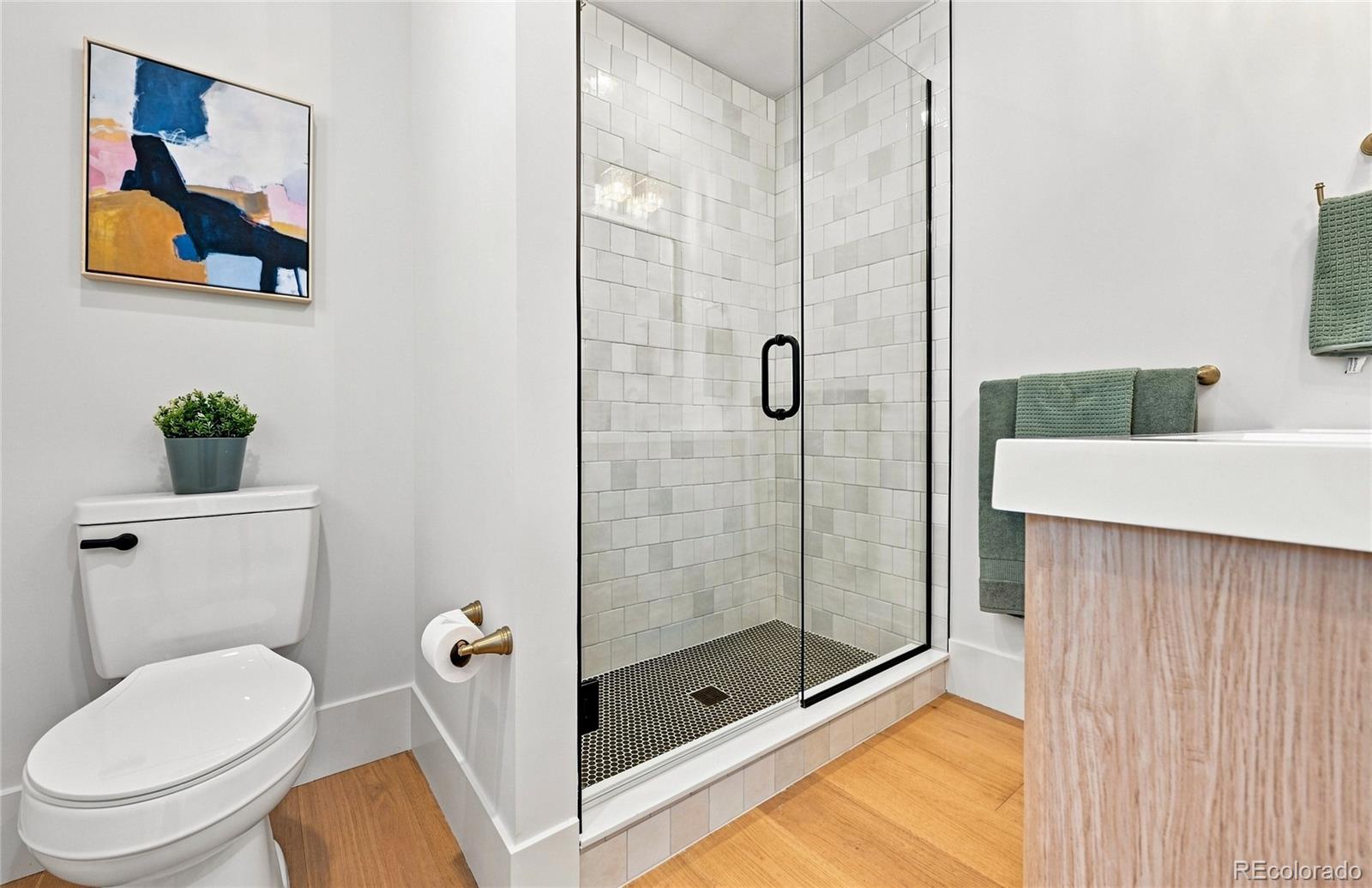 MLS Image #9 for 2670 s norman court,denver, Colorado