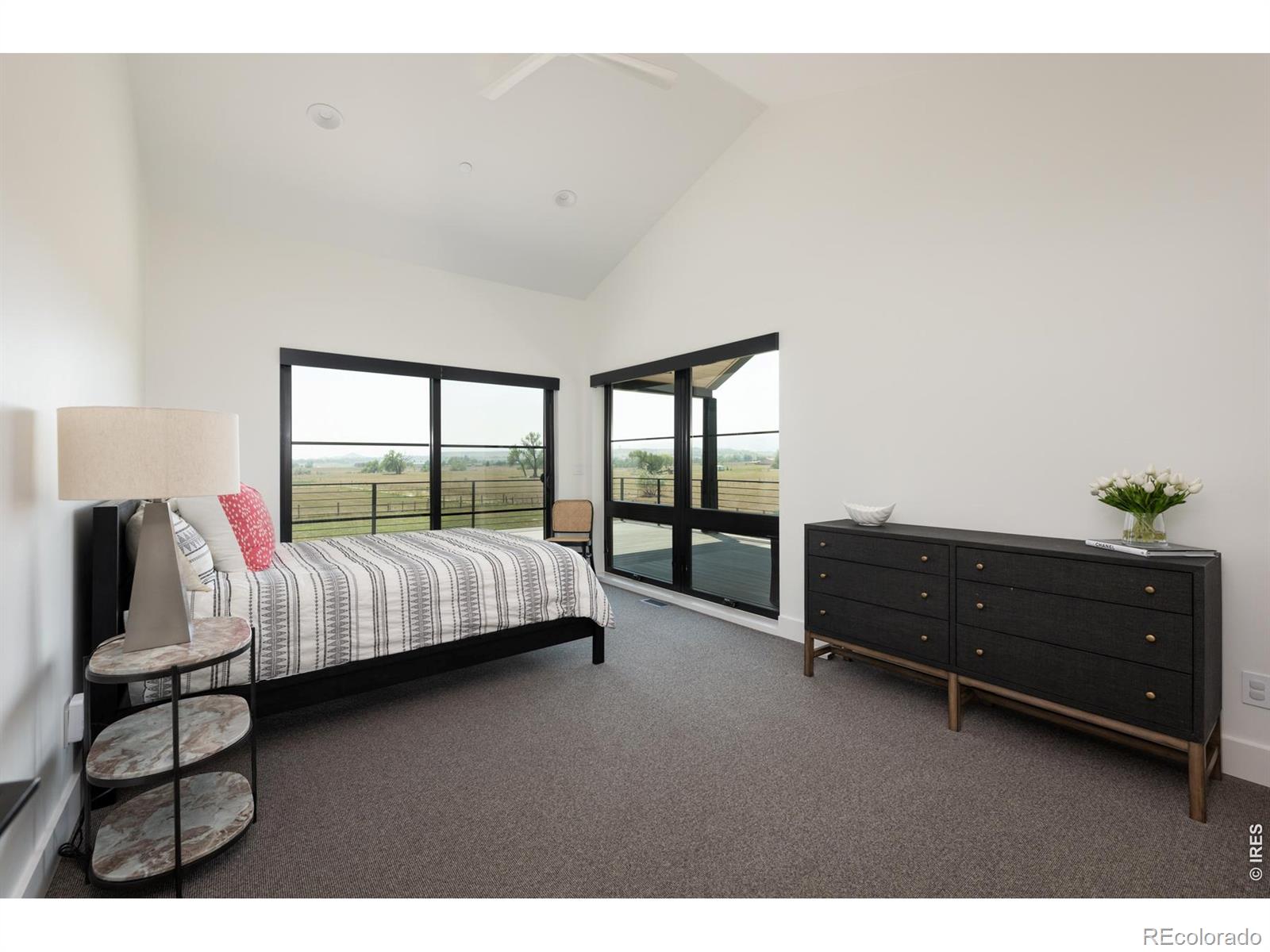MLS Image #25 for 6124  trevarton drive,longmont, Colorado