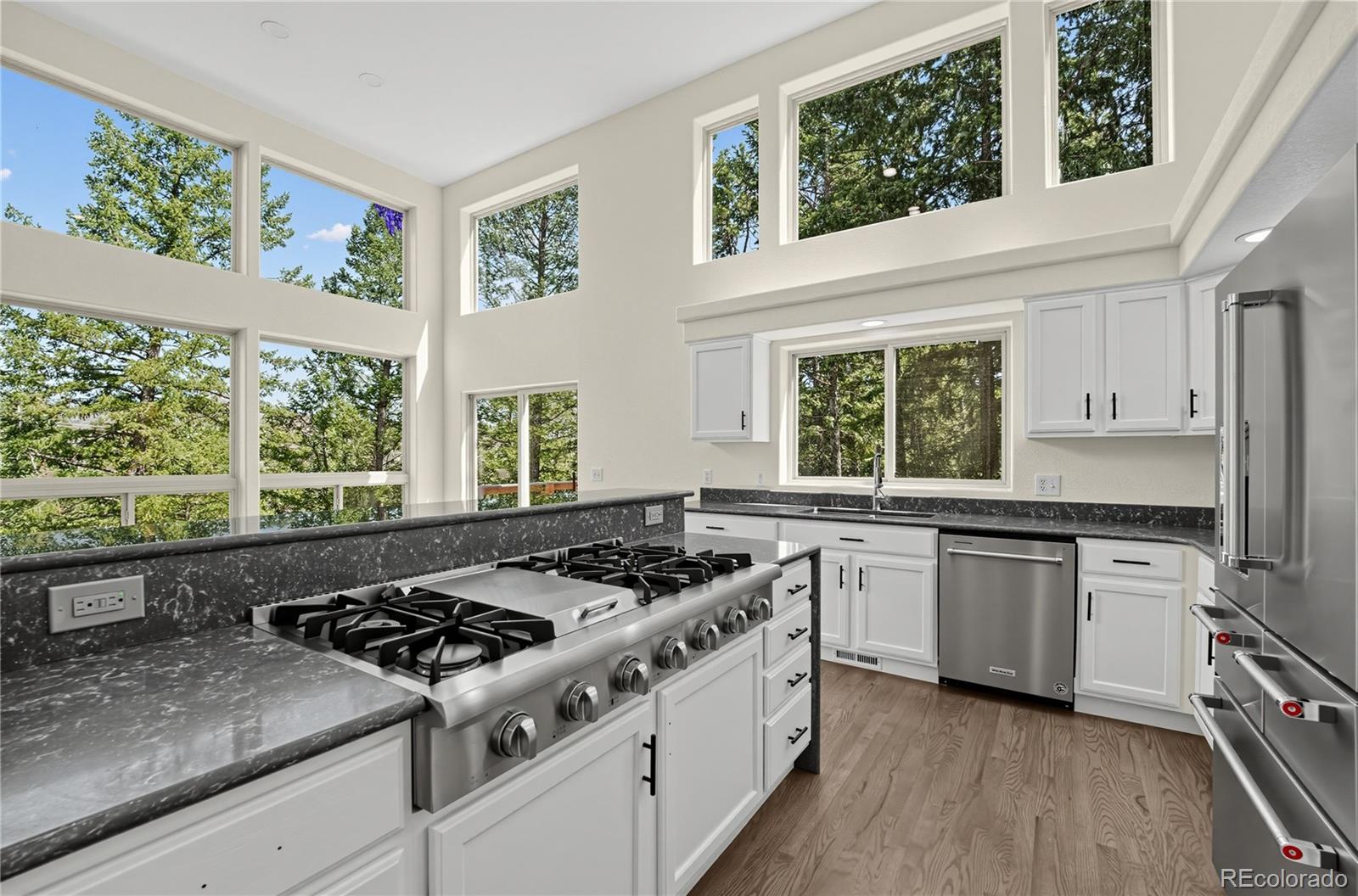 MLS Image #10 for 100  elk valley way,evergreen, Colorado