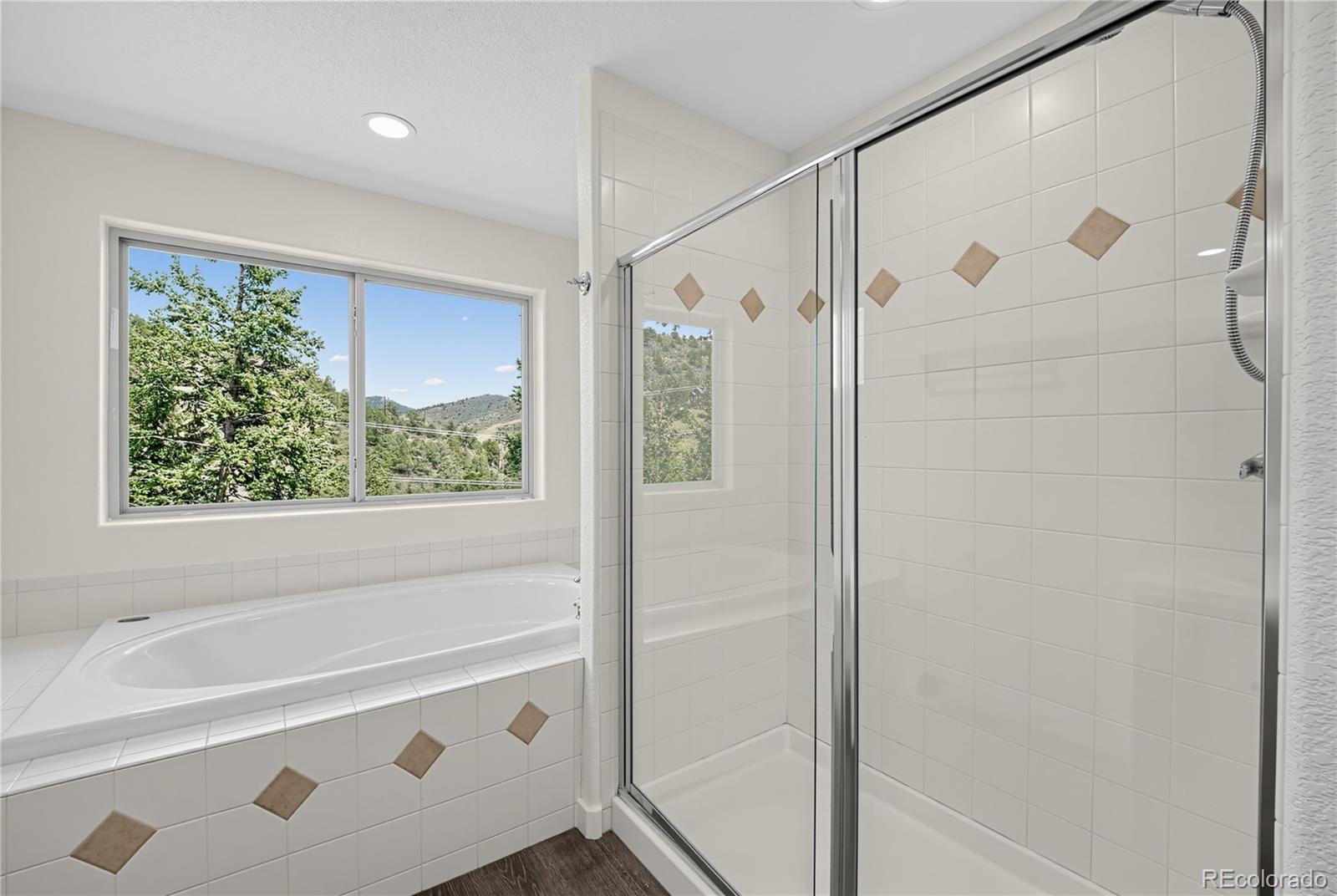 MLS Image #19 for 100  elk valley way,evergreen, Colorado