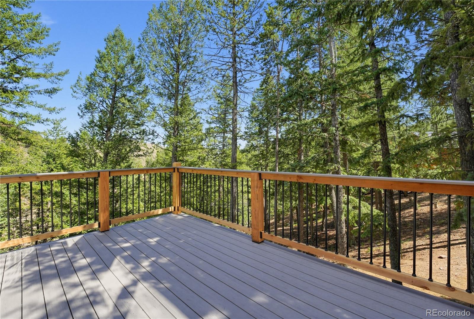 MLS Image #28 for 100  elk valley way,evergreen, Colorado