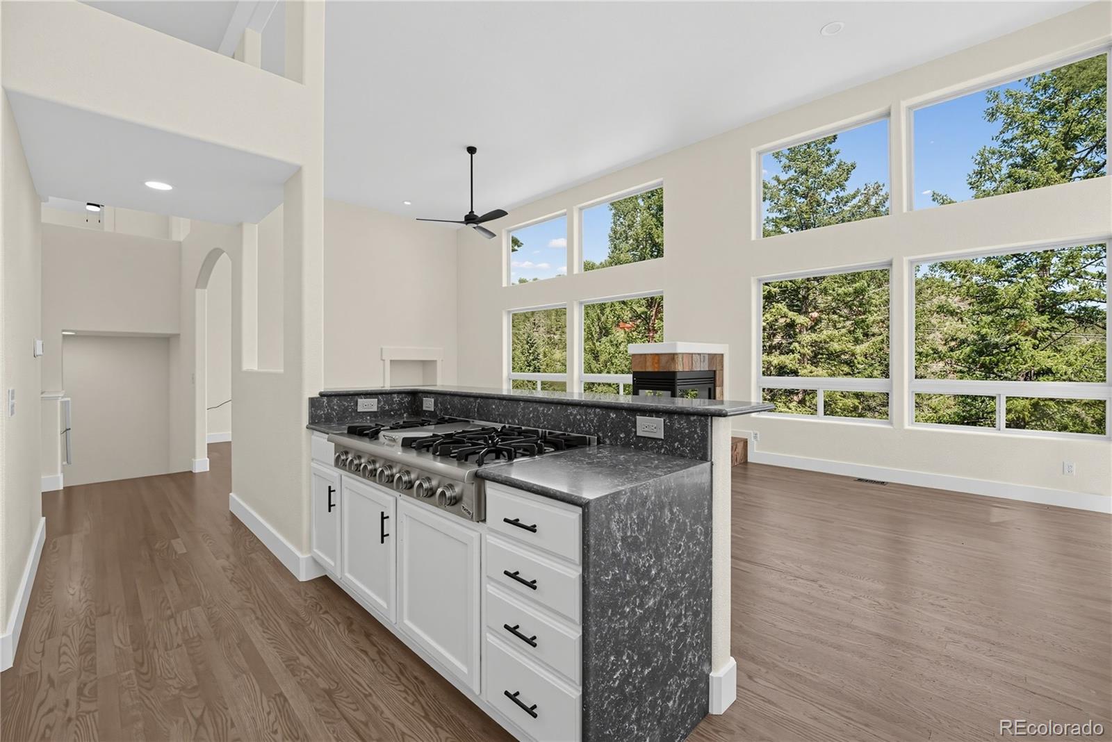 MLS Image #9 for 100  elk valley way,evergreen, Colorado