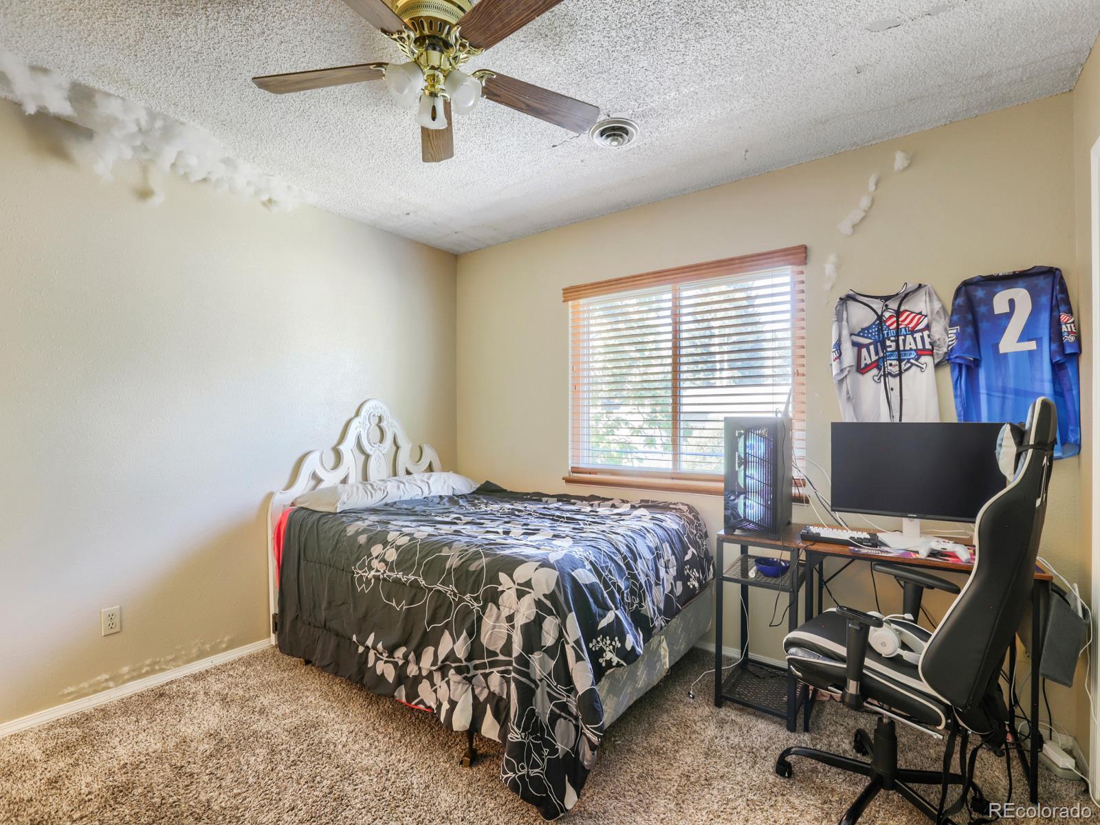 MLS Image #21 for 2125  44th avenue,greeley, Colorado