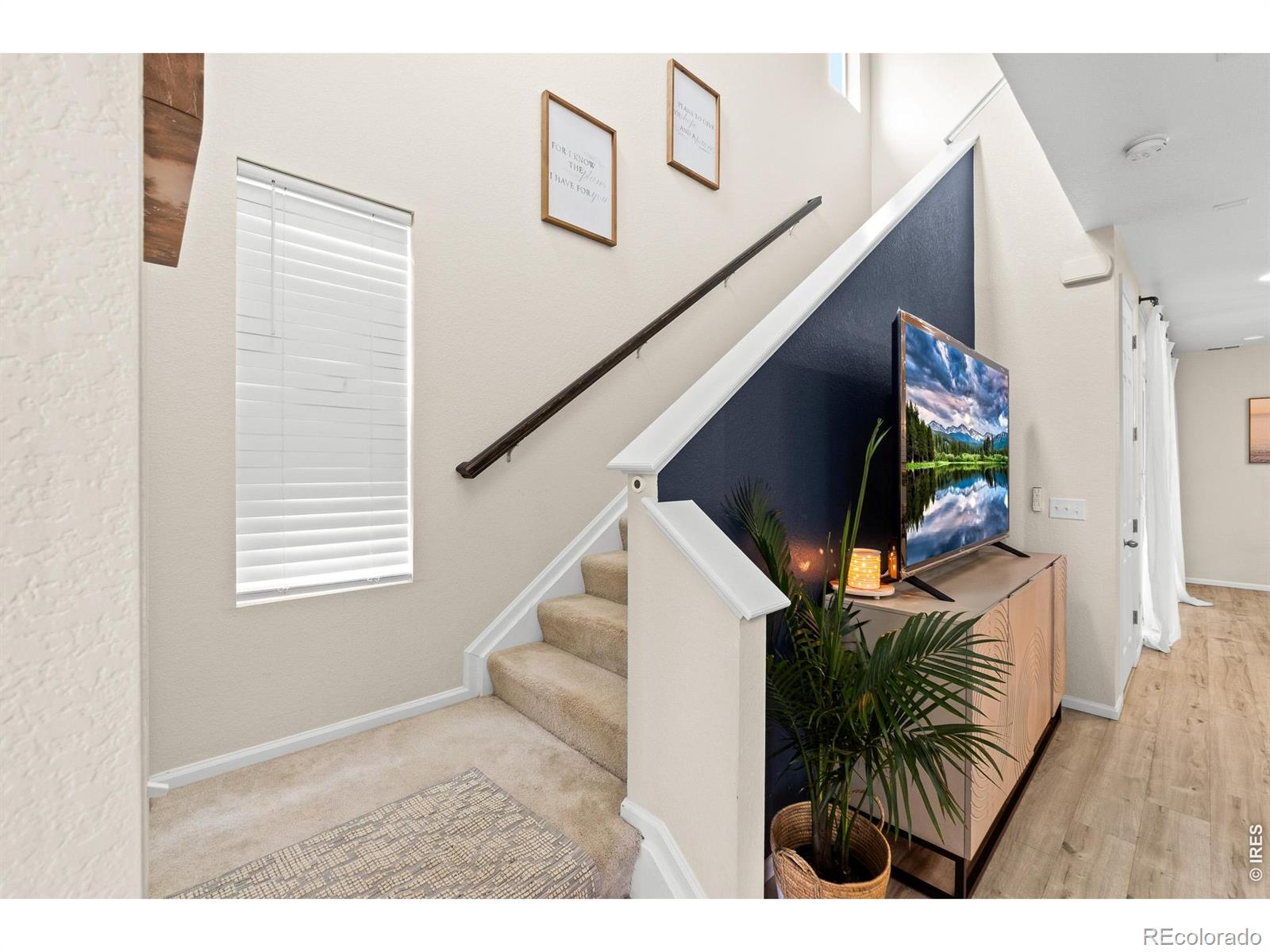 MLS Image #18 for 5328  spalding place,longmont, Colorado