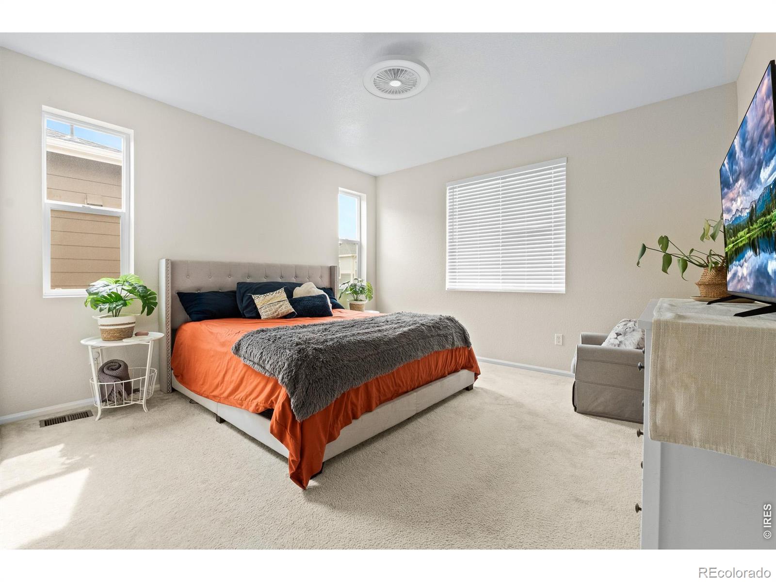 MLS Image #19 for 5328  spalding place,longmont, Colorado