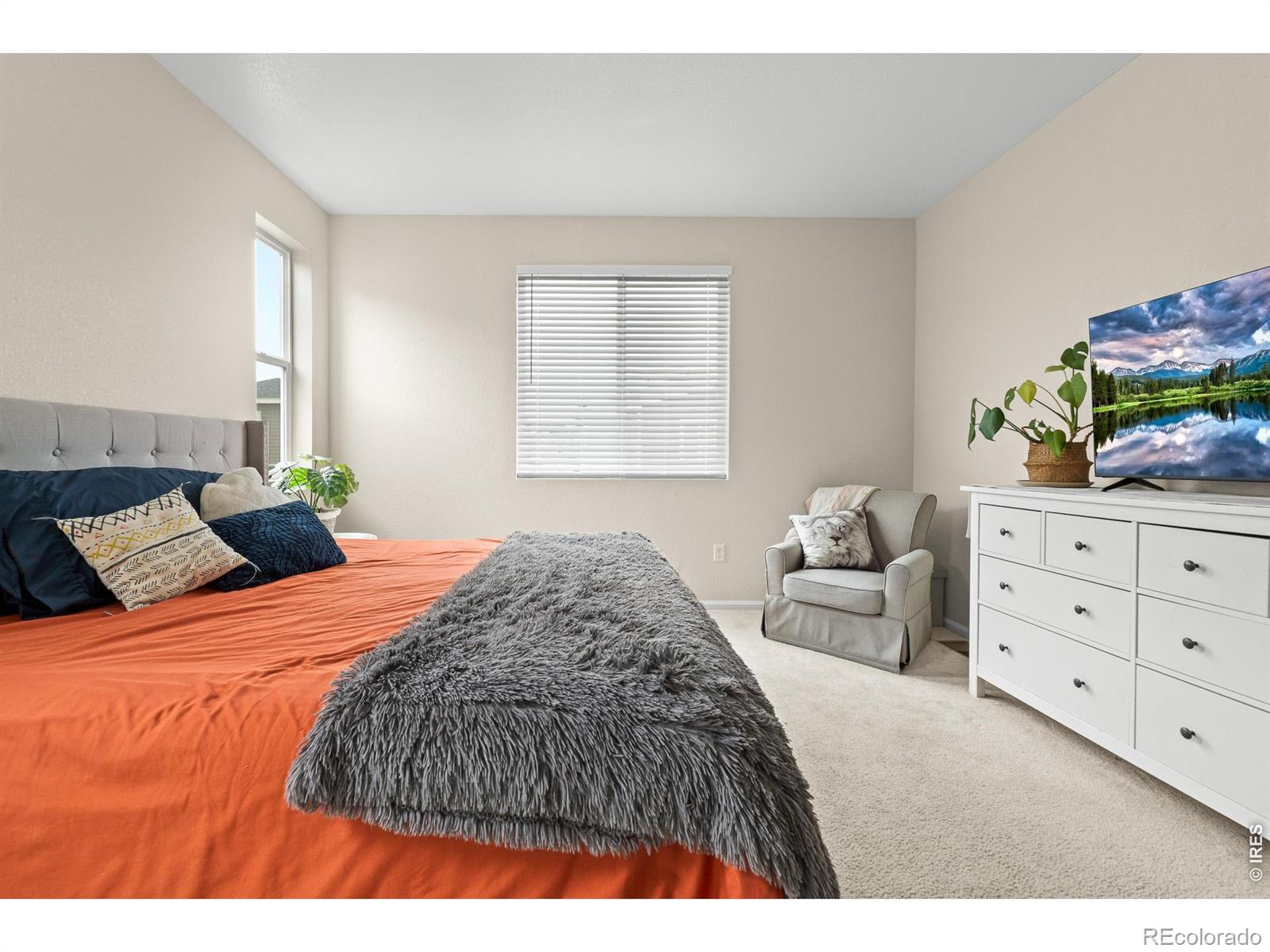 MLS Image #20 for 5328  spalding place,longmont, Colorado