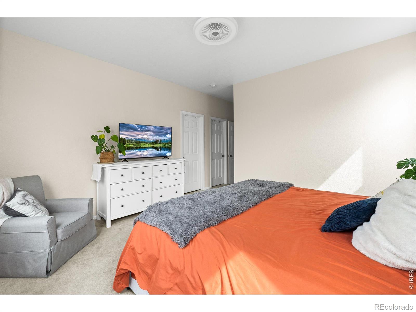 MLS Image #21 for 5328  spalding place,longmont, Colorado