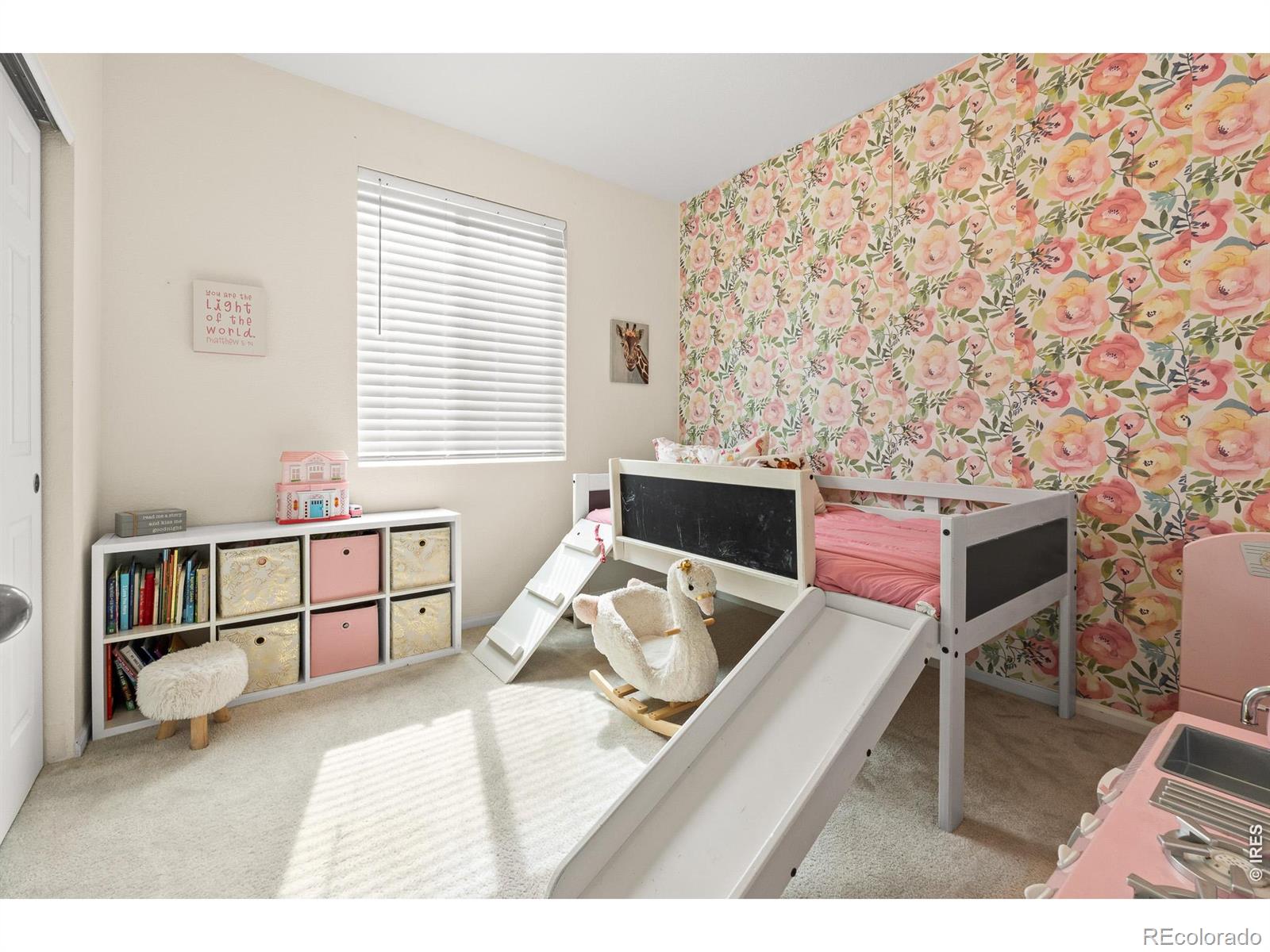 MLS Image #26 for 5328  spalding place,longmont, Colorado