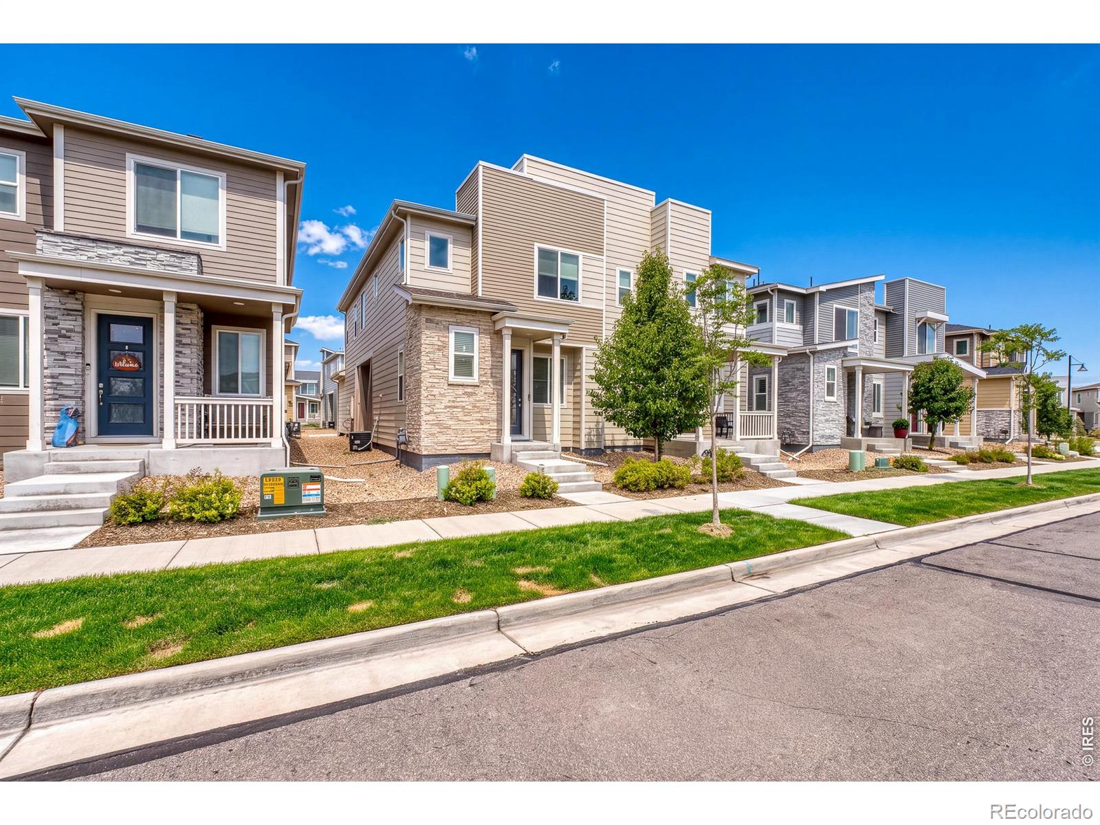 MLS Image #3 for 5328  spalding place,longmont, Colorado