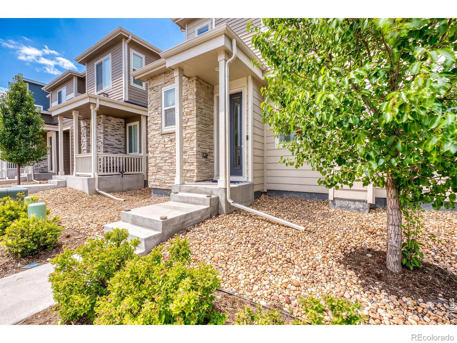 MLS Image #35 for 5328  spalding place,longmont, Colorado