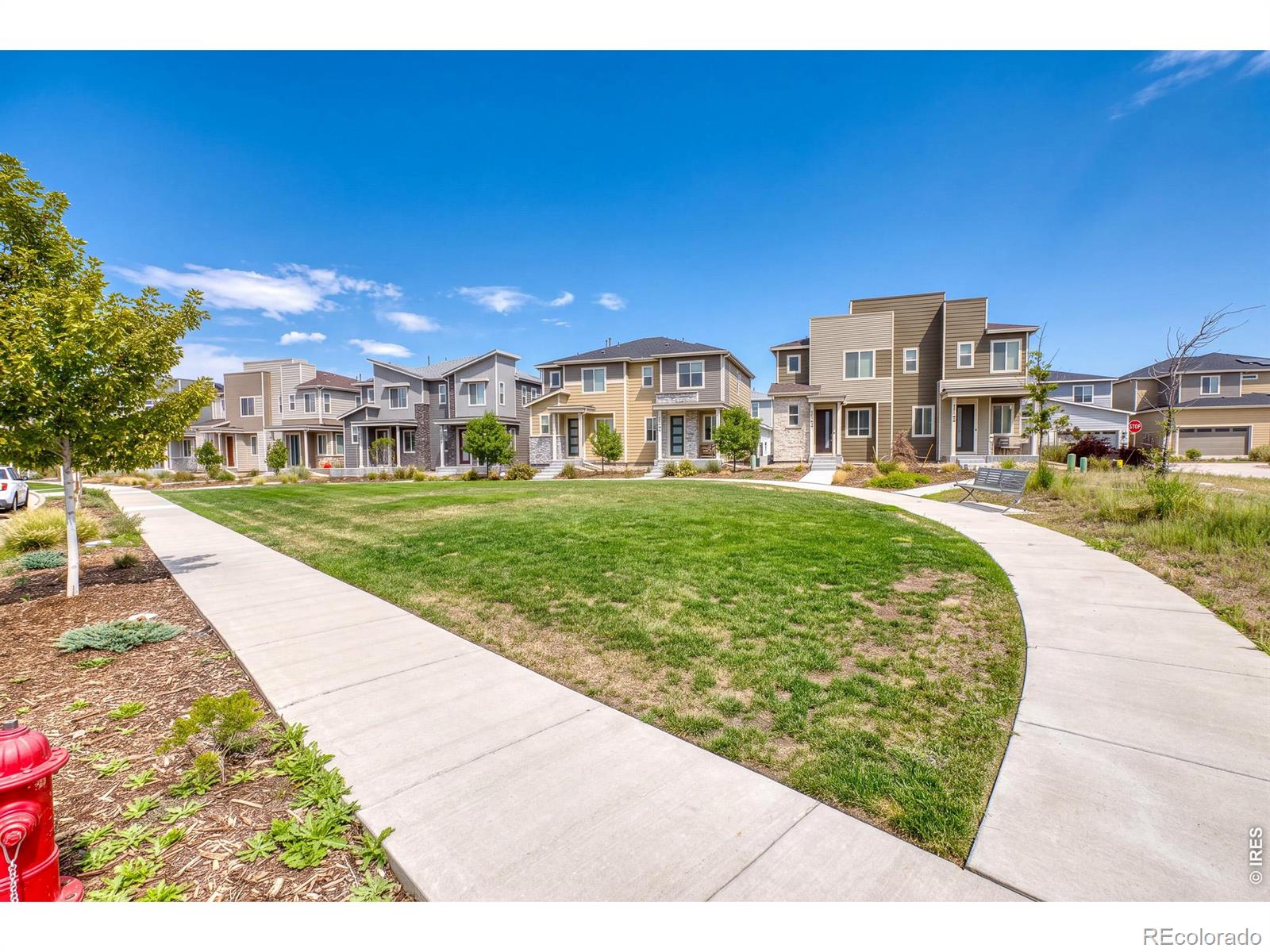 MLS Image #36 for 5328  spalding place,longmont, Colorado