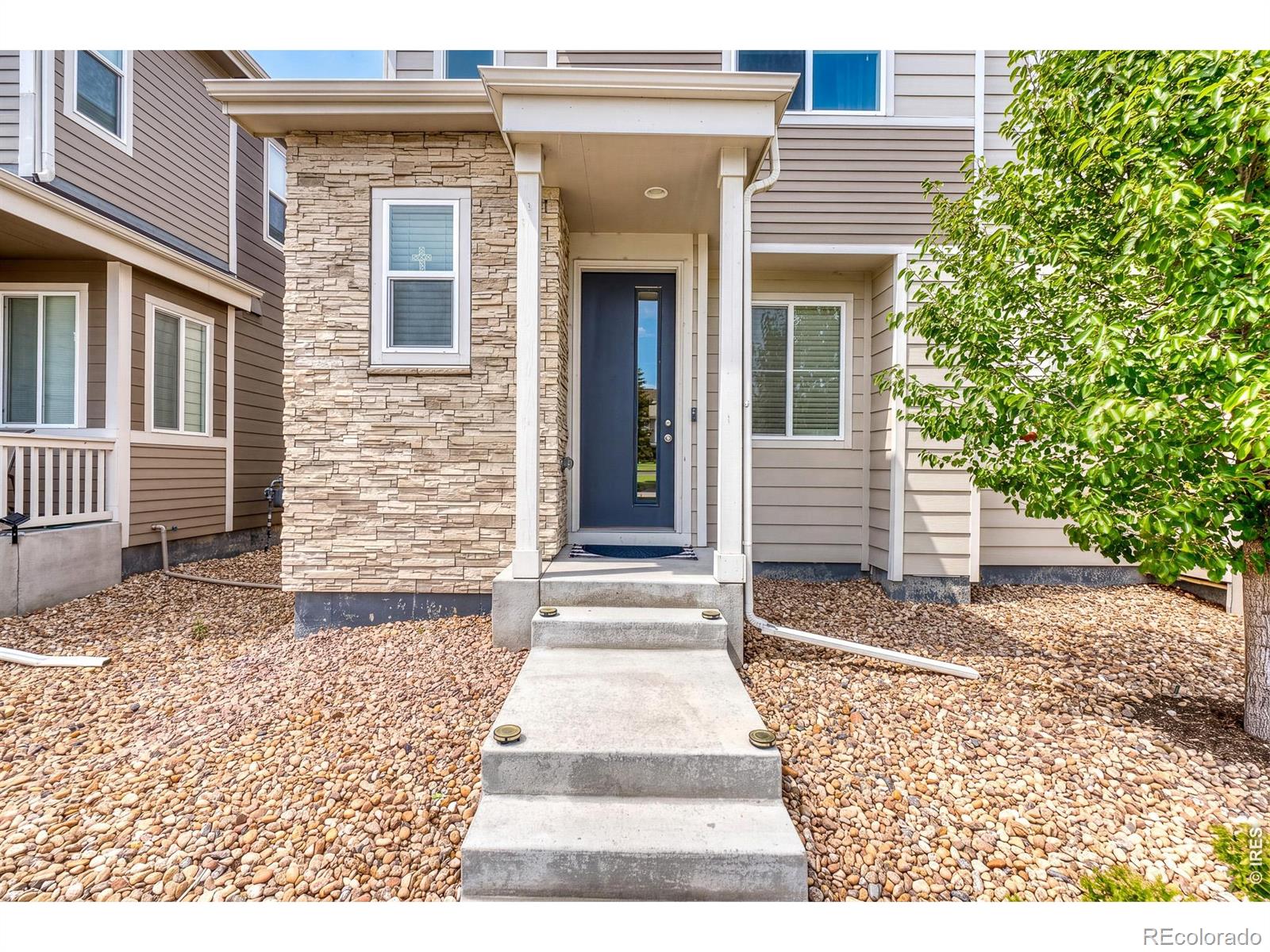 MLS Image #4 for 5328  spalding place,longmont, Colorado