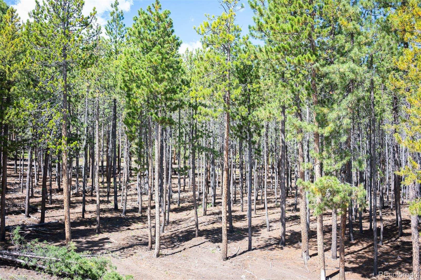 MLS Image #31 for 8320 s warhawk road,conifer, Colorado