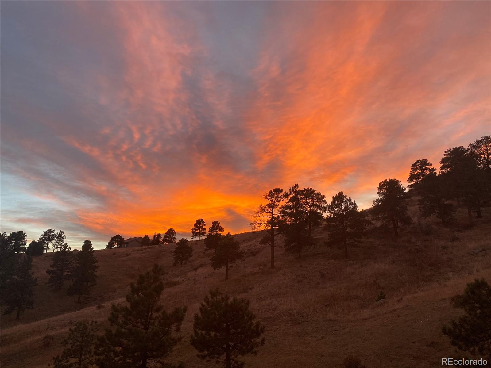 MLS Image #38 for 27927  meadowlark drive,golden, Colorado