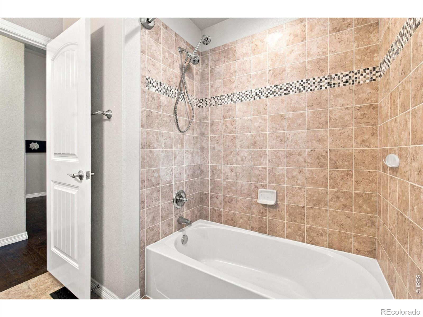 MLS Image #27 for 1684  maseca plaza way,severance, Colorado