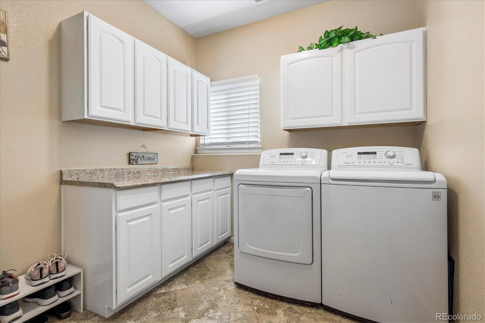 MLS Image #16 for 10602  baneberry street,highlands ranch, Colorado