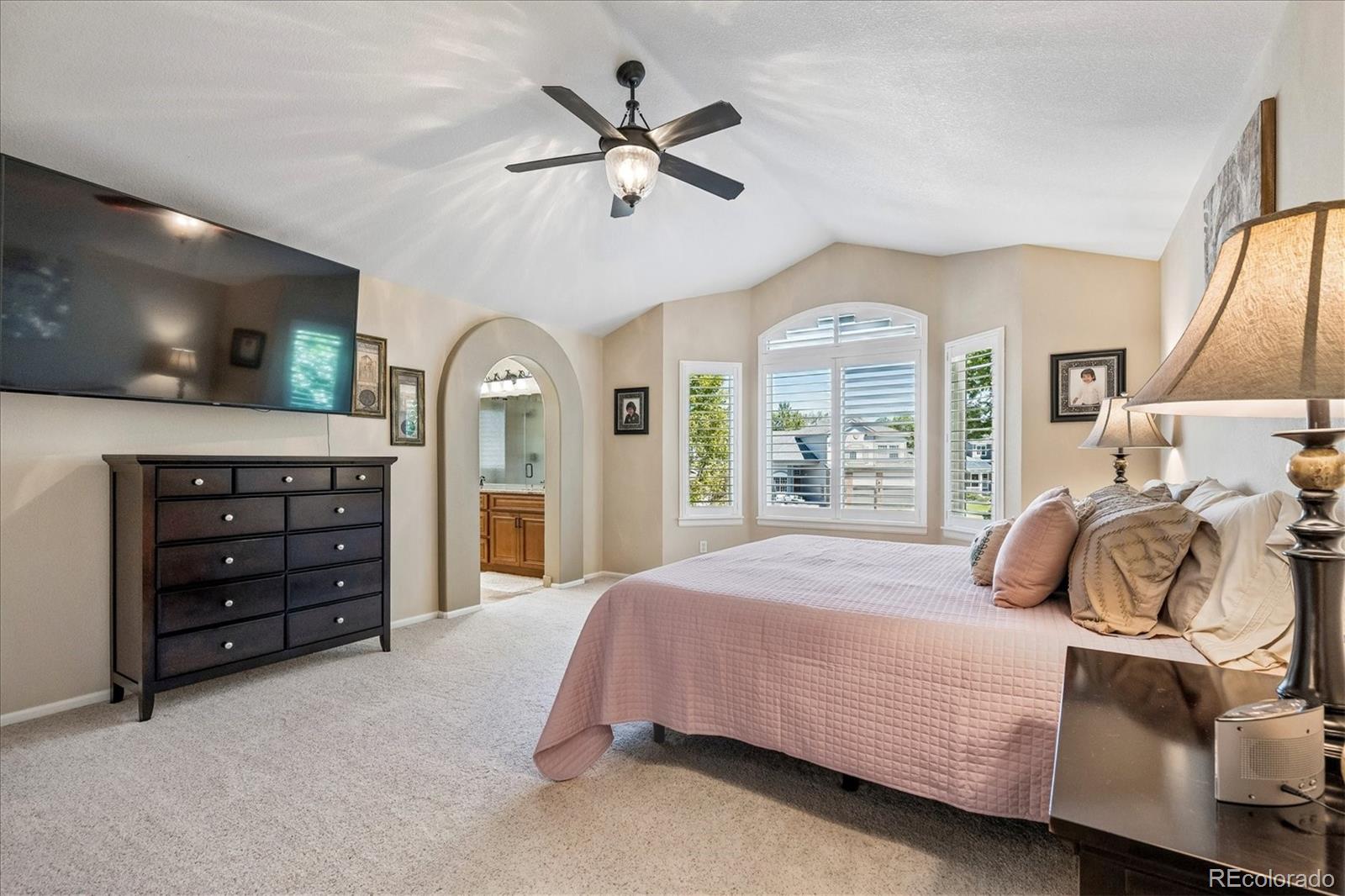MLS Image #17 for 10602  baneberry street,highlands ranch, Colorado