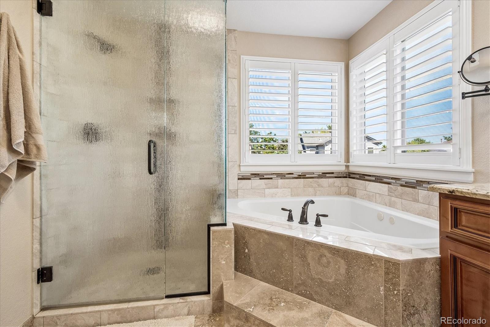 MLS Image #20 for 10602  baneberry street,highlands ranch, Colorado