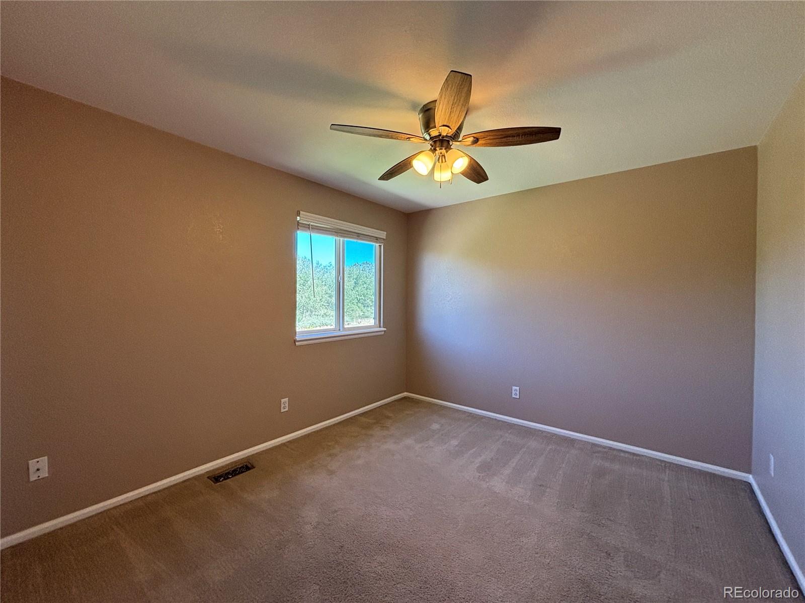 MLS Image #14 for 1181  savannah sparrow drive,highlands ranch, Colorado
