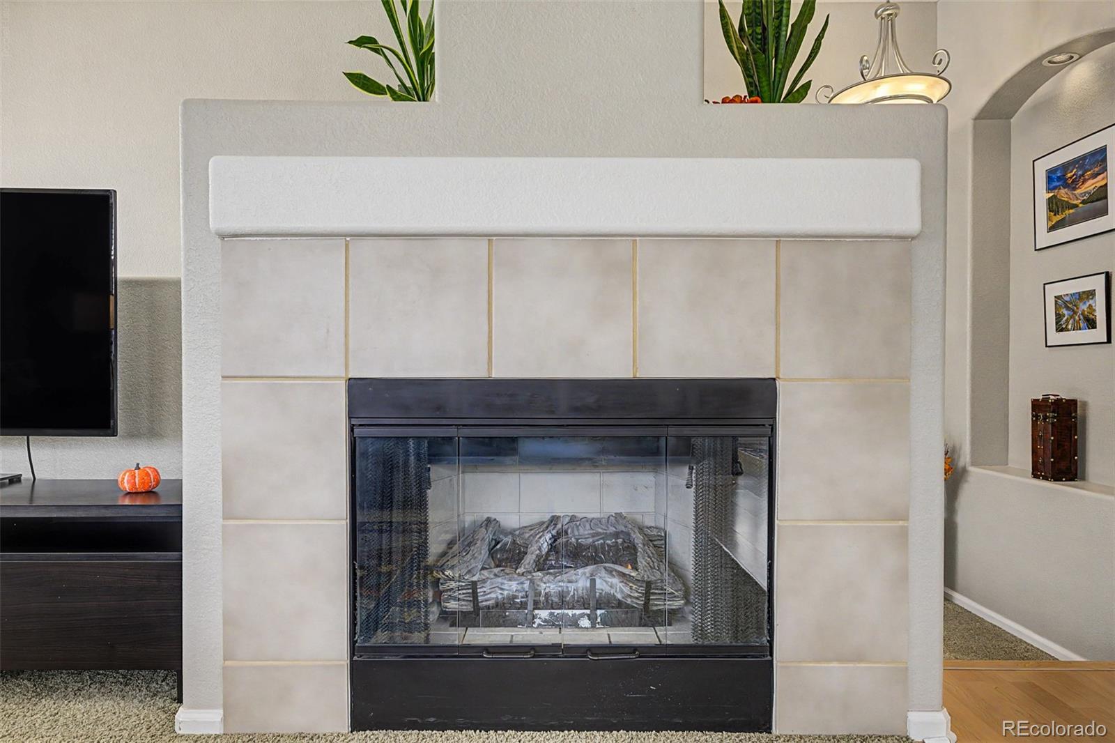 MLS Image #10 for 176  whitehaven circle,highlands ranch, Colorado