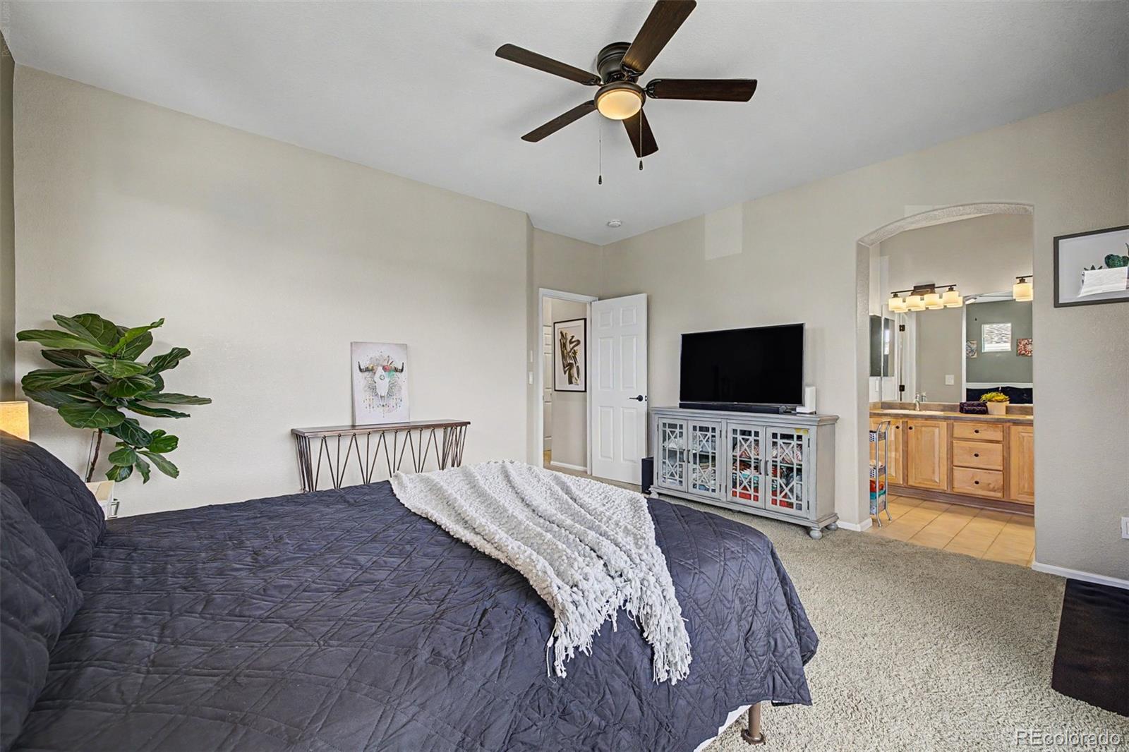 MLS Image #16 for 176  whitehaven circle,highlands ranch, Colorado