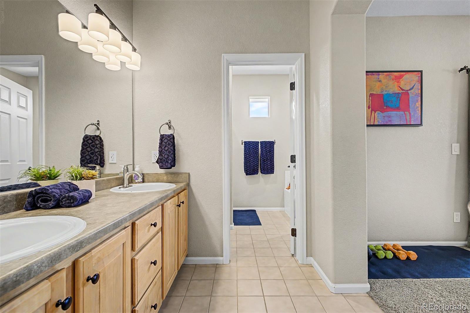 MLS Image #17 for 176  whitehaven circle,highlands ranch, Colorado